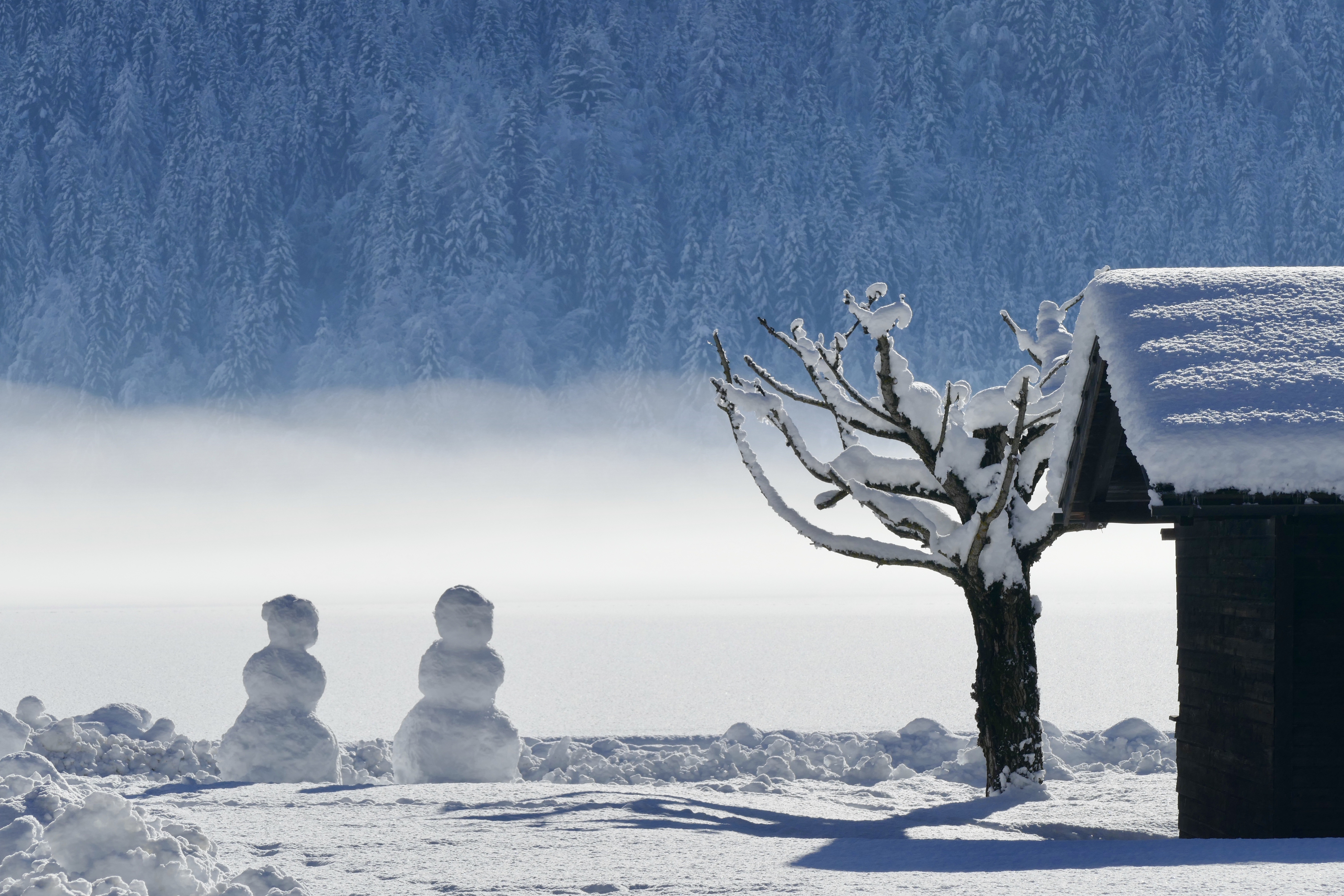 Laden Sie das Winter, Schnee, Schneemann, Fotografie-Bild kostenlos auf Ihren PC-Desktop herunter