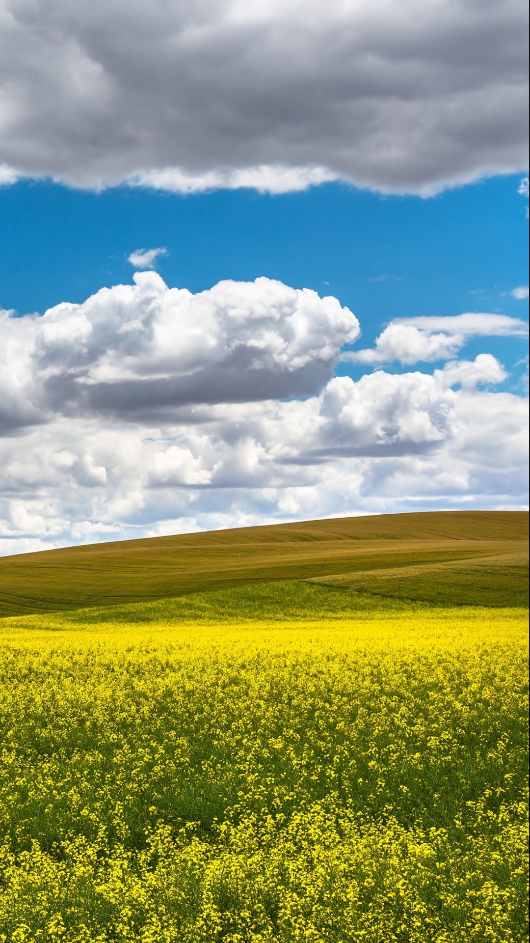 Descarga gratuita de fondo de pantalla para móvil de Paisaje, Tierra/naturaleza.