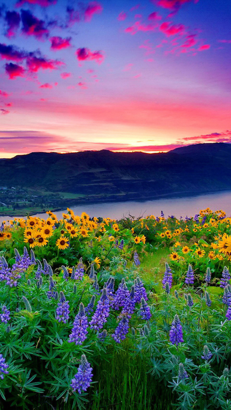 Download mobile wallpaper Landscape, Flowers, Mountain, Lake, Flower, Earth, Spring for free.