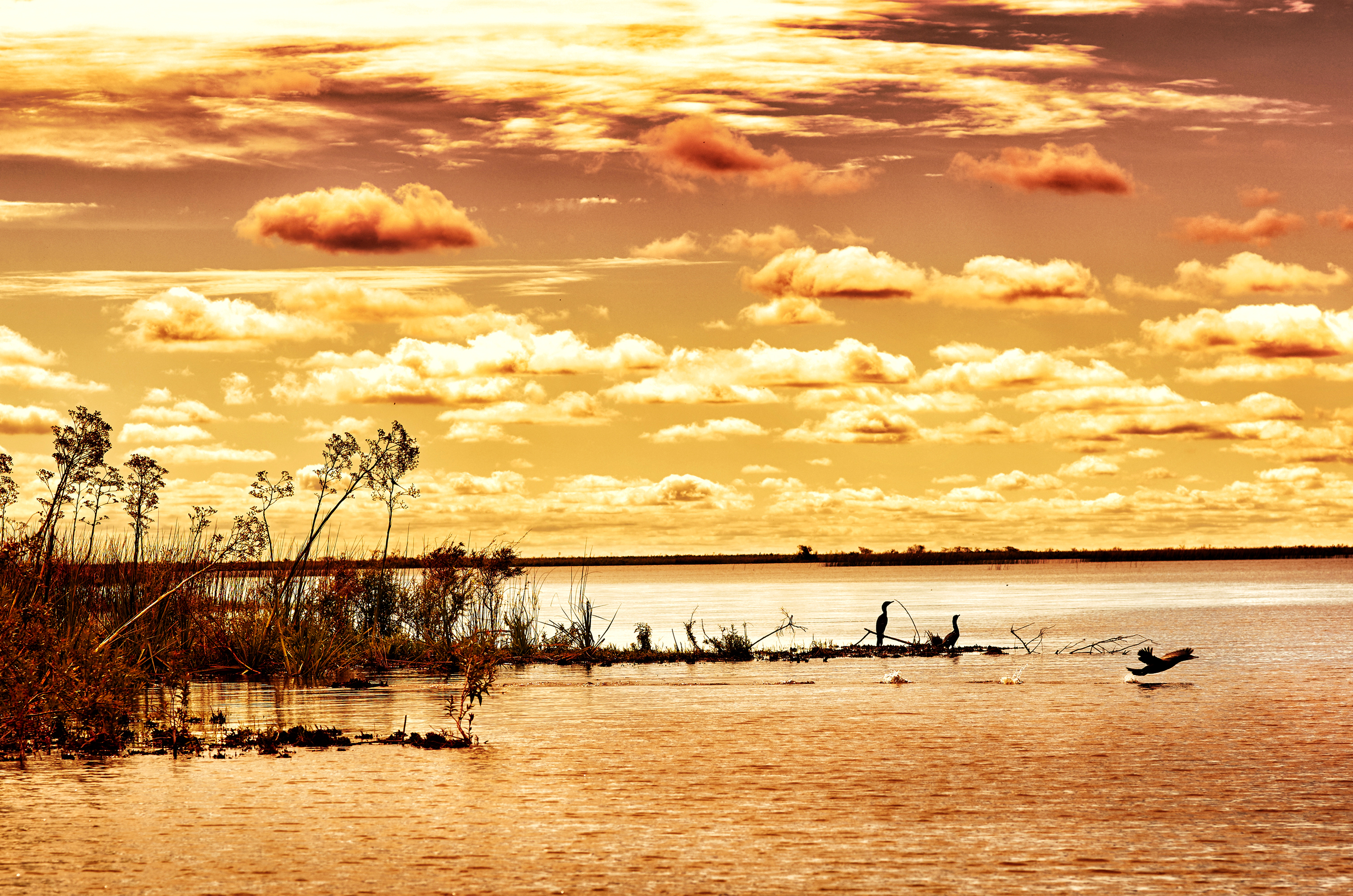 Download mobile wallpaper Nature, Sky, Lakes, Horizon, Lake, Earth, Cloud, Orange (Color) for free.