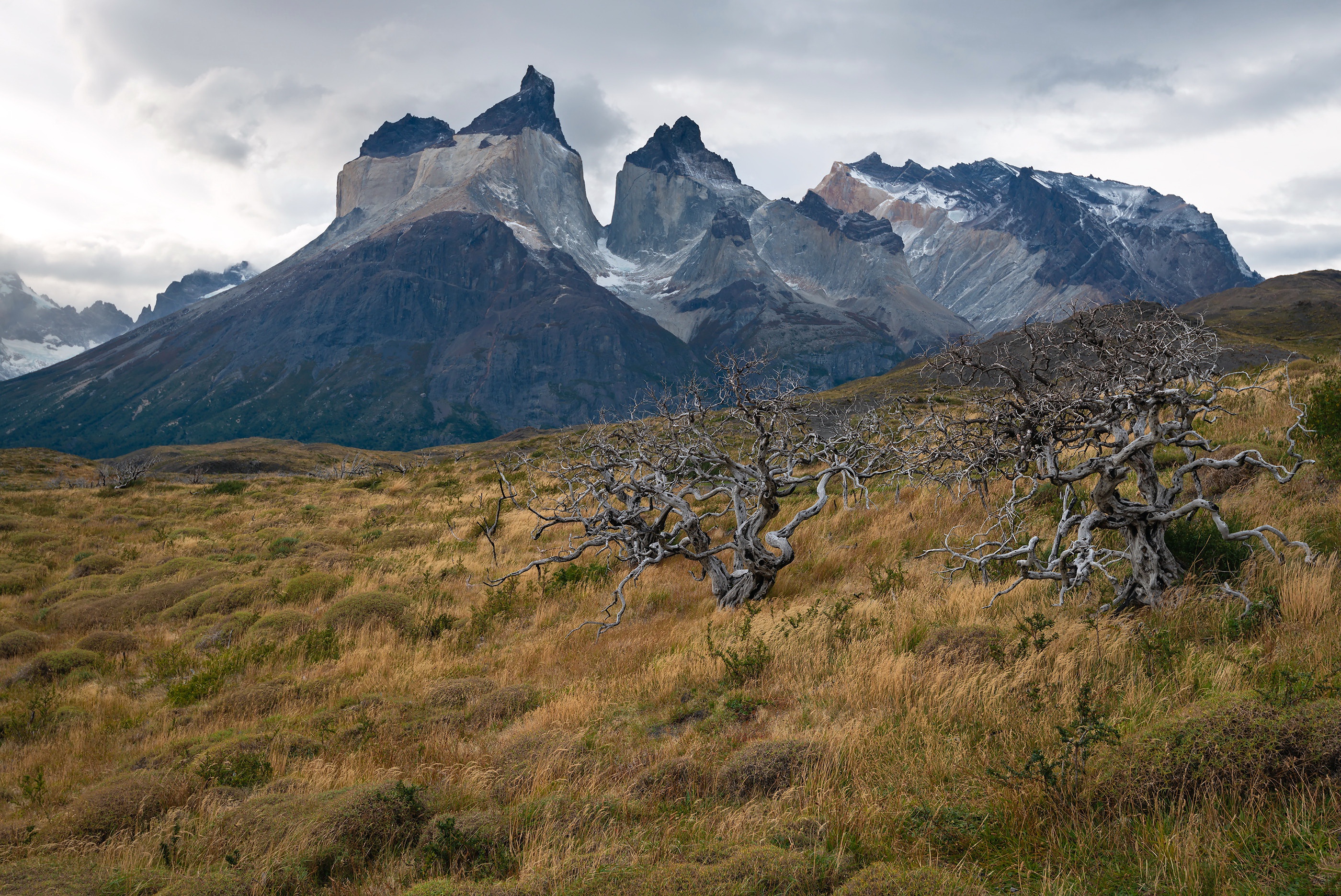 Descarga gratuita de fondo de pantalla para móvil de Montañas, Chile, Patagonia, Torres Del Paine, Tierra/naturaleza, Parque Nacional Torres Del Paine.
