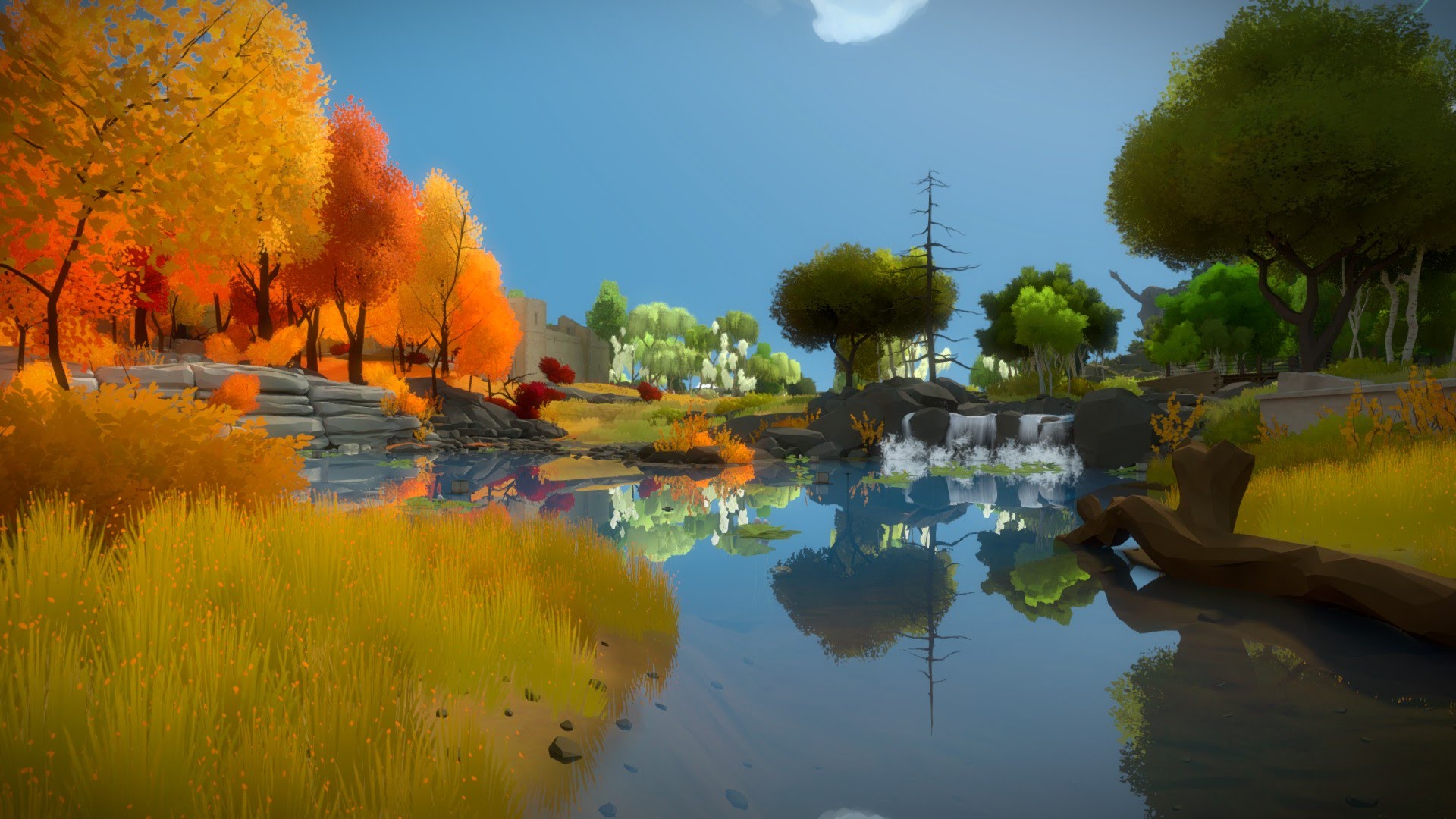 video game, the witness, reflection