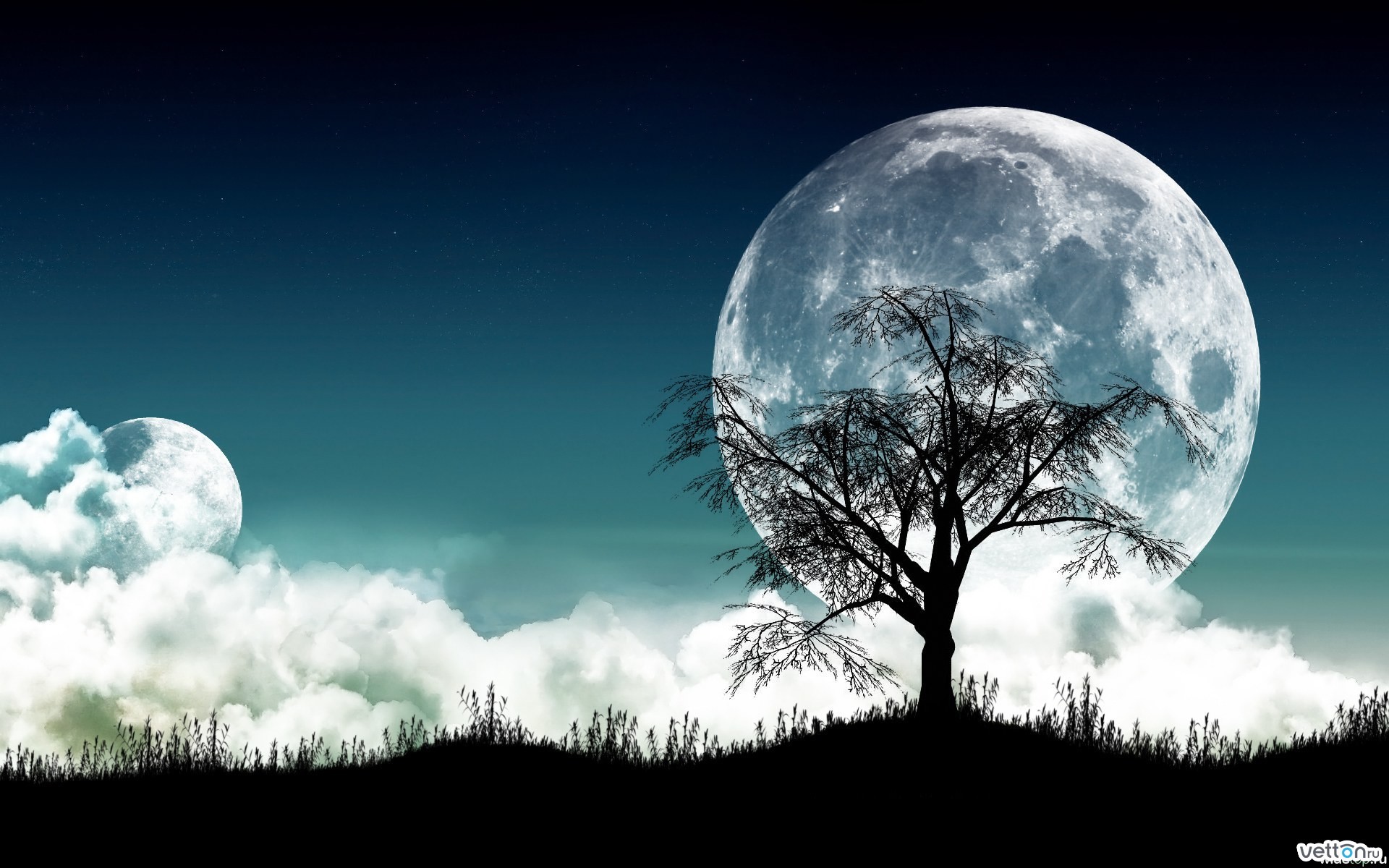 Free download wallpaper Landscape, Trees, Moon on your PC desktop
