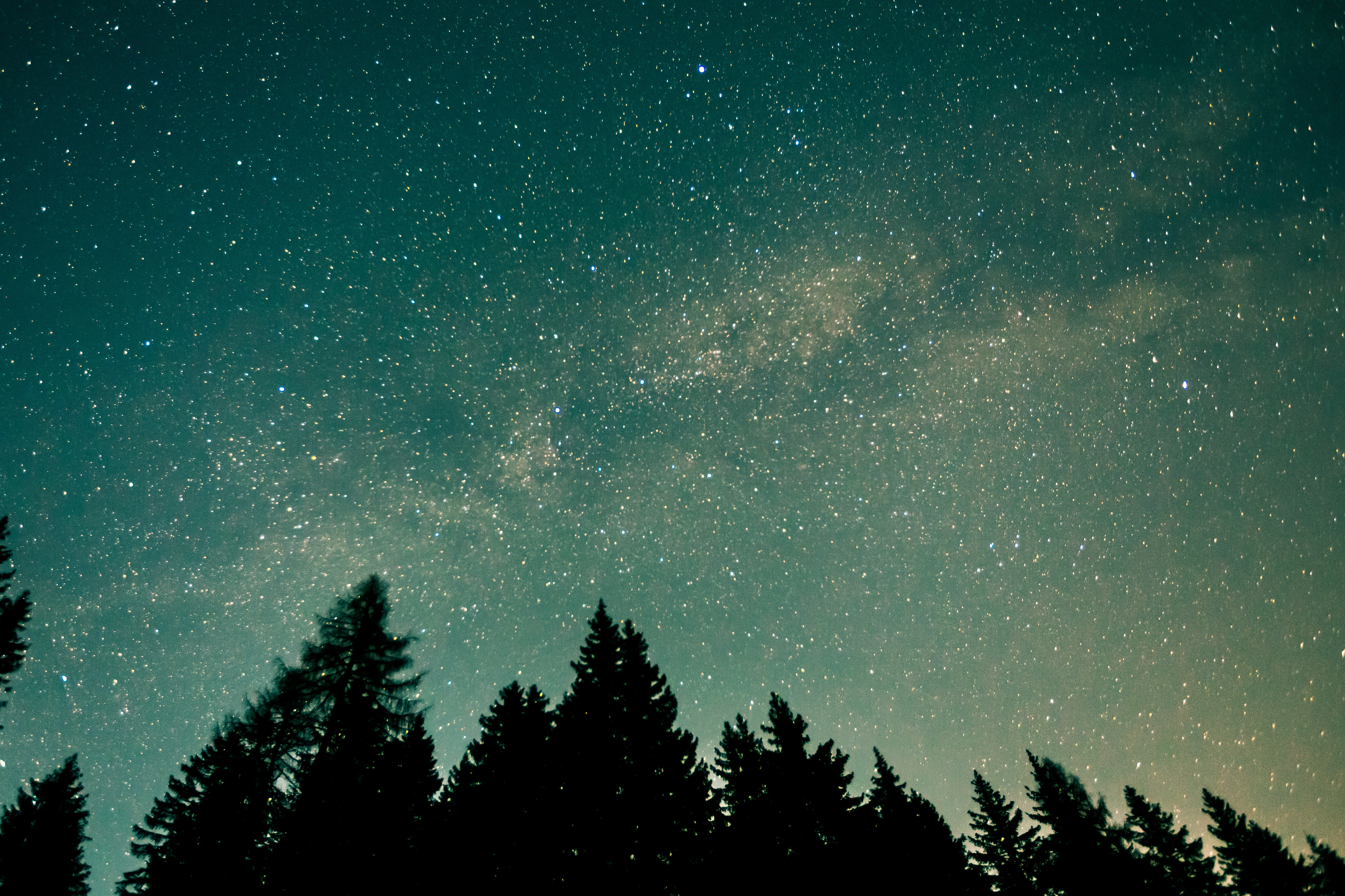 Descarga gratuita de fondo de pantalla para móvil de Espacio, Naturaleza, Árboles, Estrellas, Cielo Estrellado.