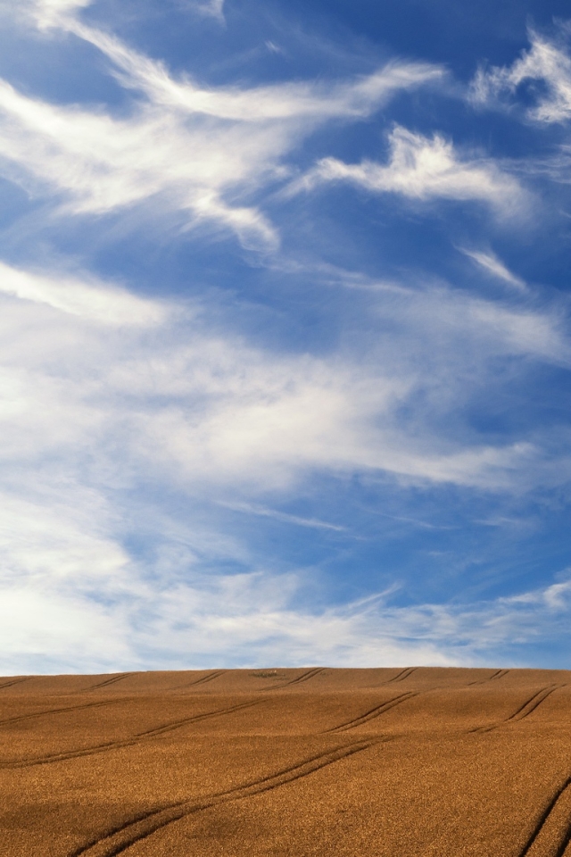 Download mobile wallpaper Nature, Sky, Summer, Tree, Earth, Field, Cloud, Lonely Tree for free.