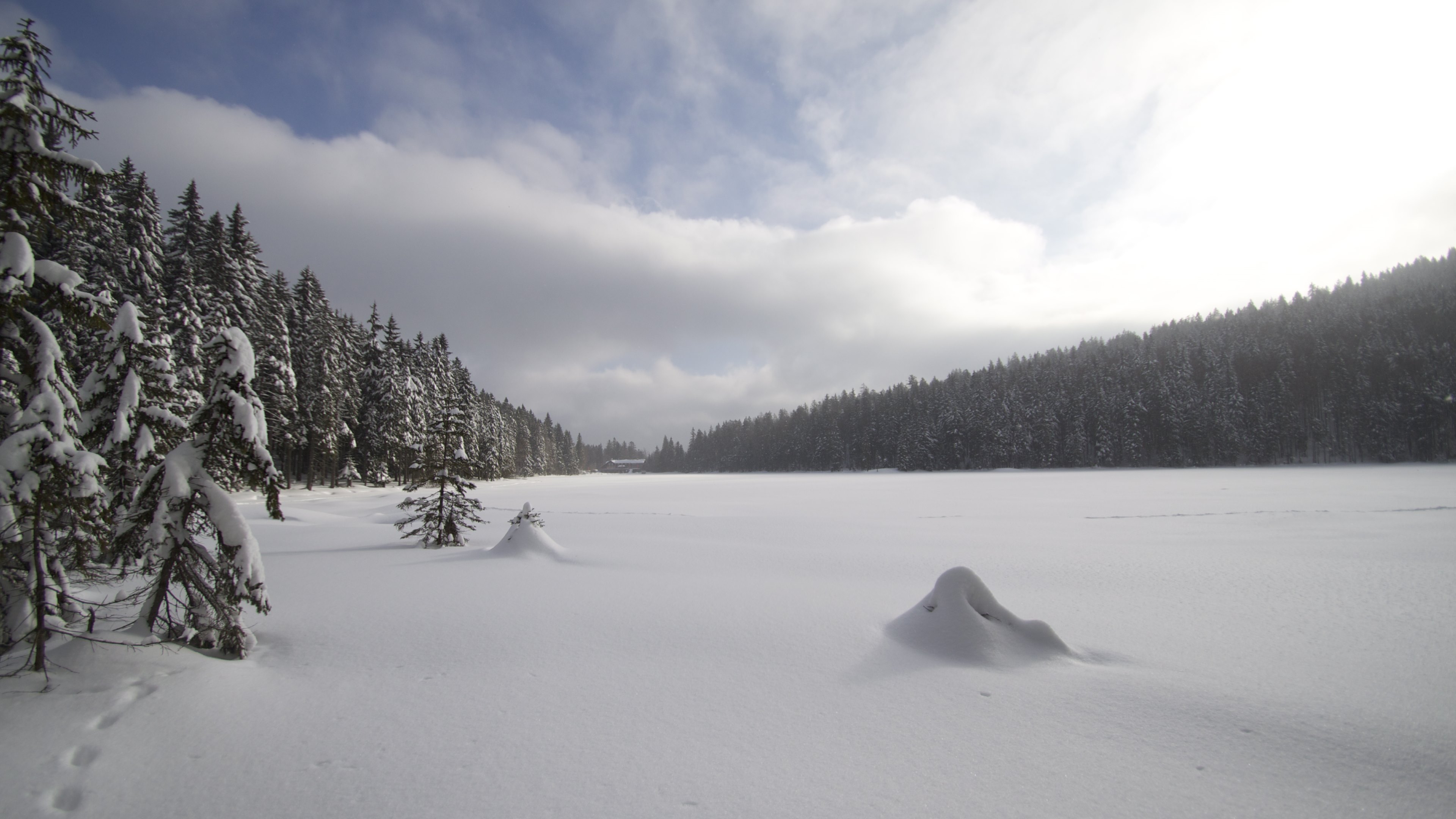 PCデスクトップに冬, 雪, 森, 地球画像を無料でダウンロード