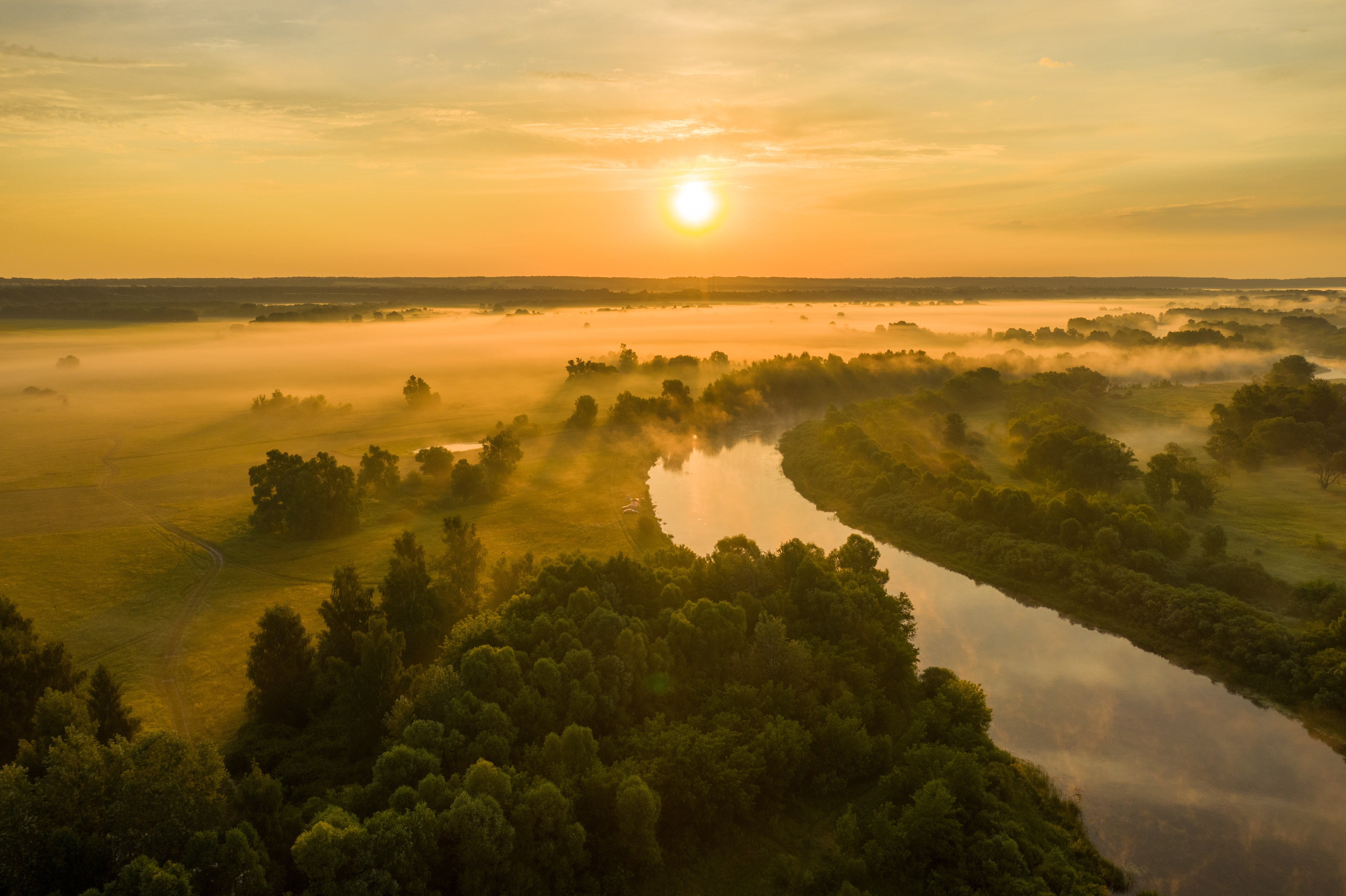 rivers, nature, trees, sunset, sun, fog 1080p