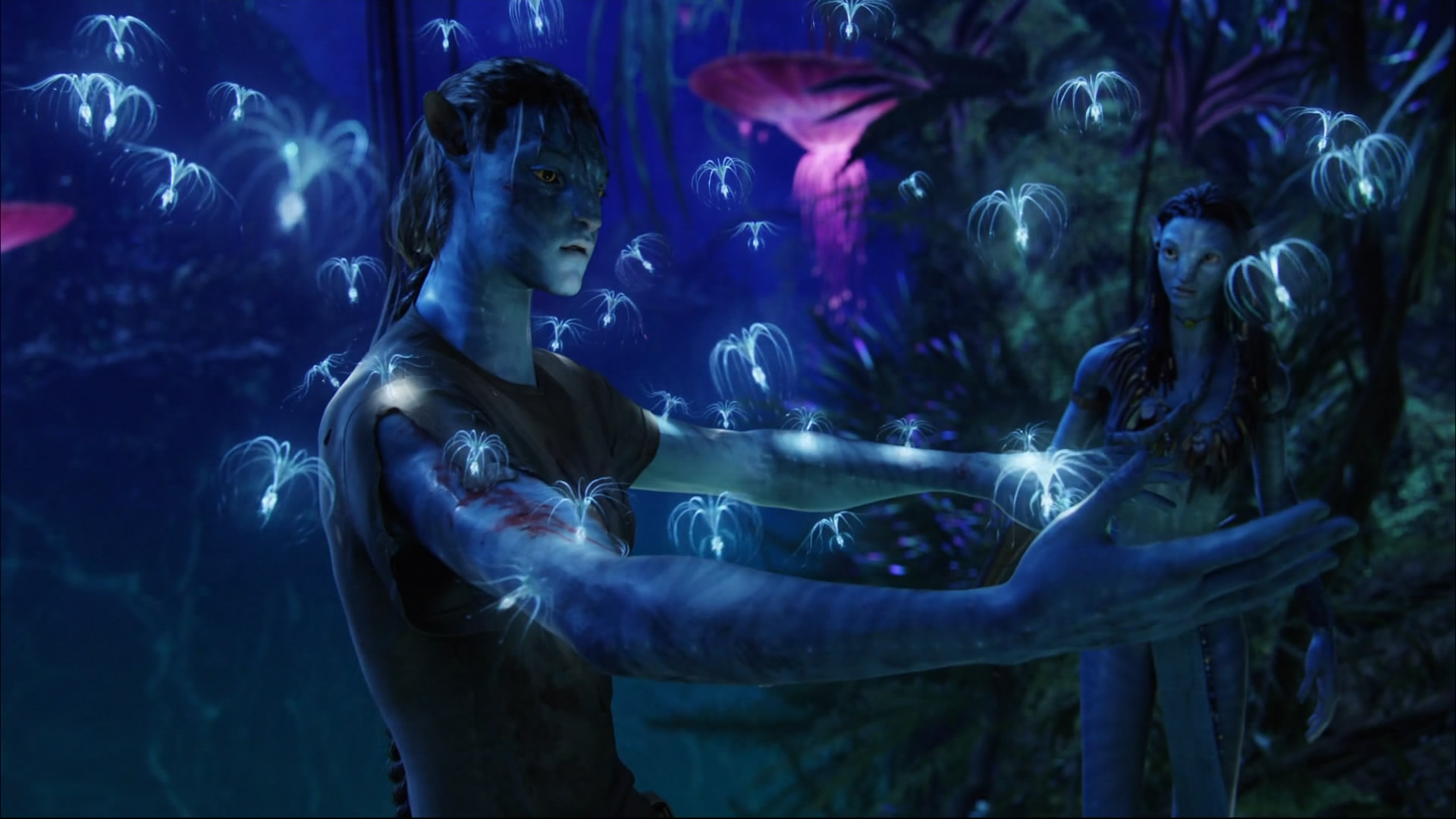 Die besten Avatar Aufbruch Nach Pandora-Hintergründe für den Telefonbildschirm