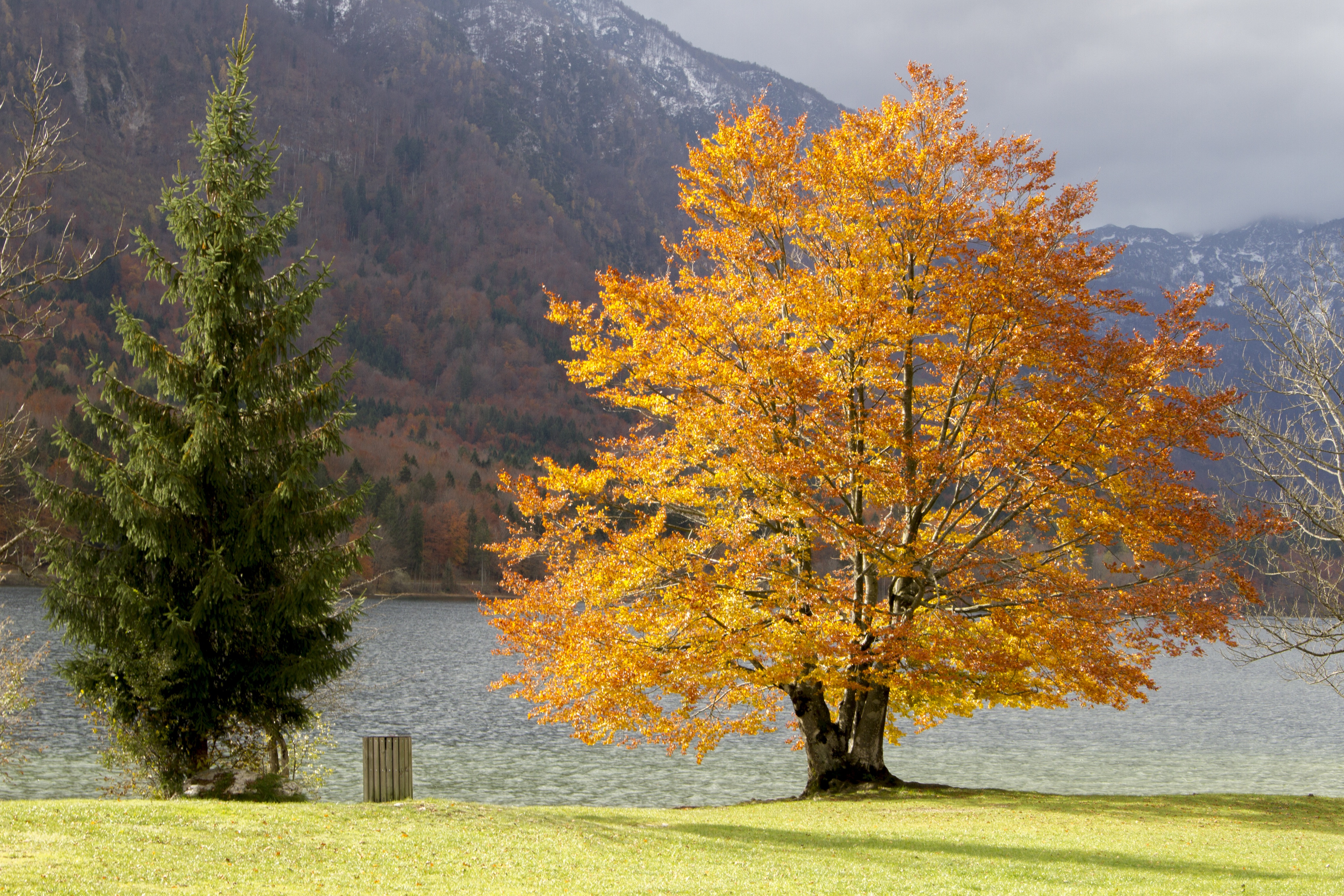 PCデスクトップに自然, 湖, 木, 草, 山脈画像を無料でダウンロード