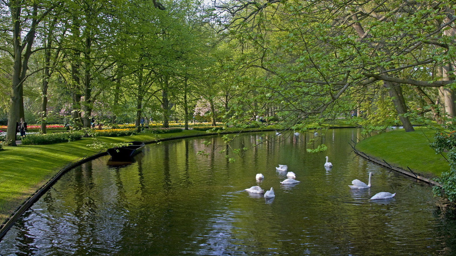 boats, rivers, swans, animals, landscape, birds, trees, green