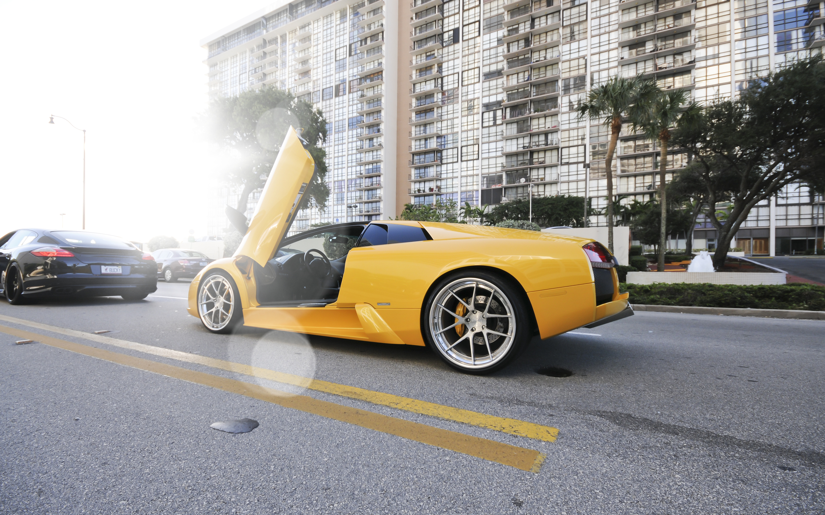 255029 Bildschirmschoner und Hintergrundbilder Lamborghini auf Ihrem Telefon. Laden Sie  Bilder kostenlos herunter