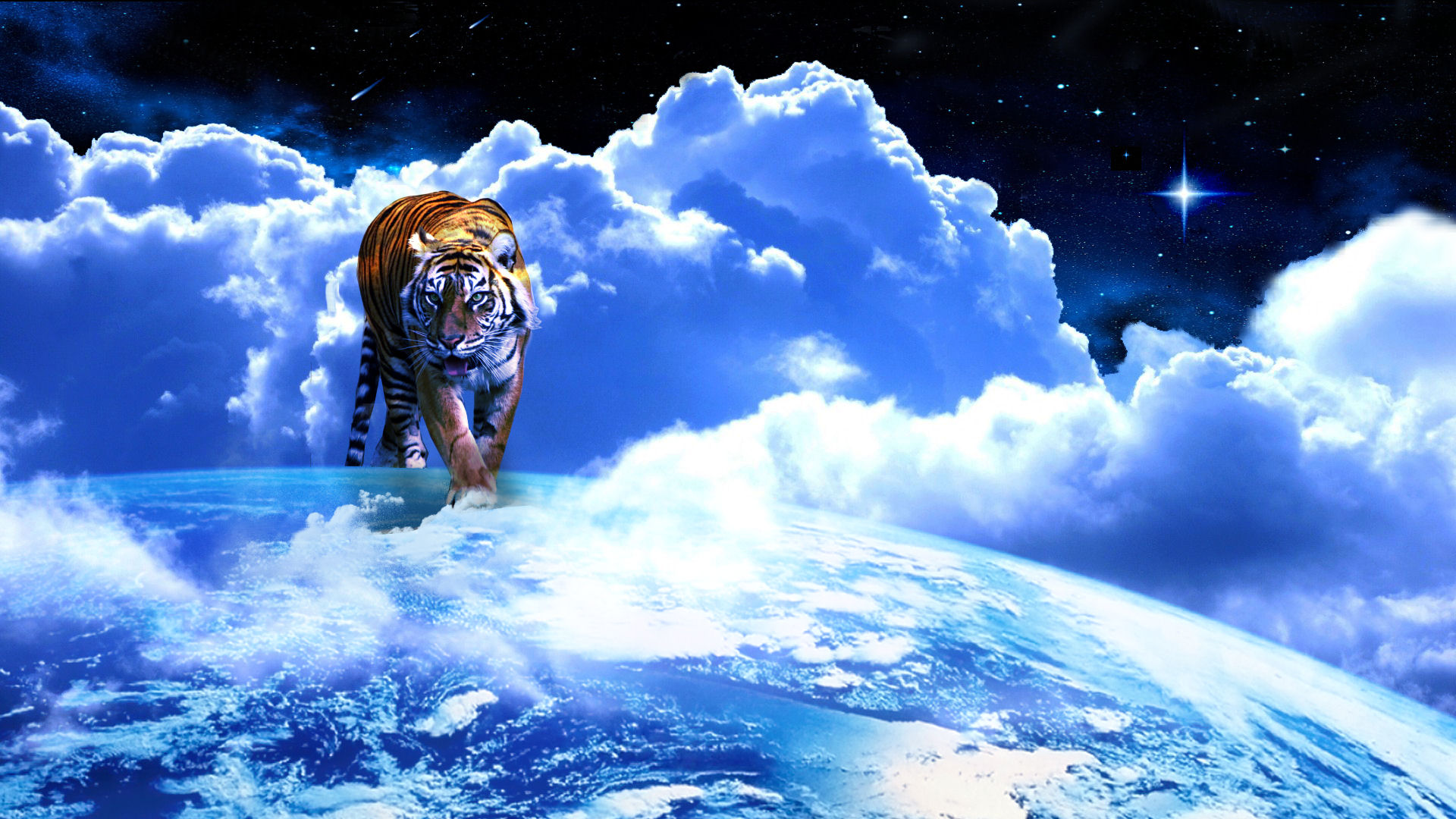 Free download wallpaper Cats, Tiger, Animal on your PC desktop