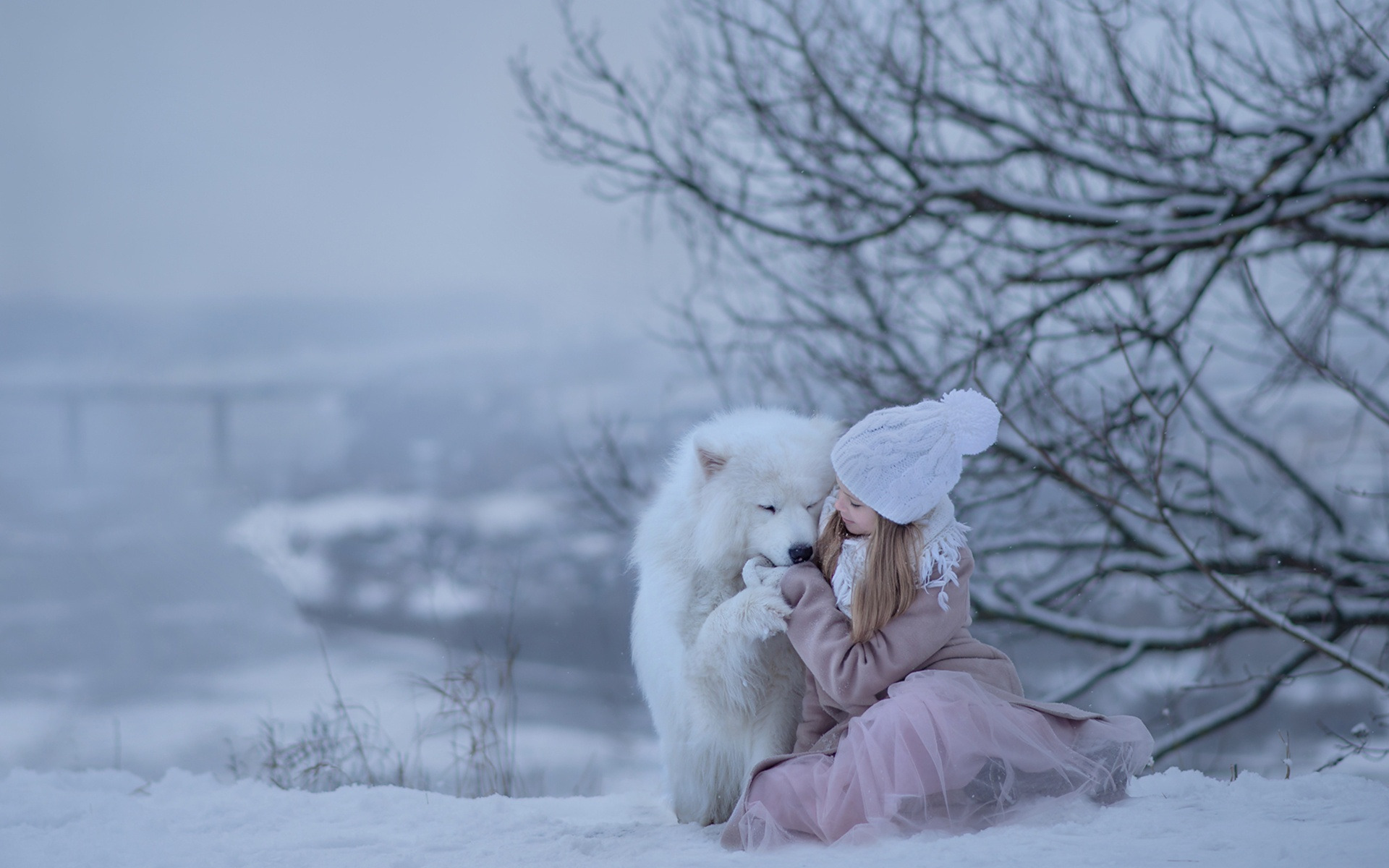 Laden Sie das Winter, Hund, Kind, Fotografie, Samojede, Kleines Mädchen-Bild kostenlos auf Ihren PC-Desktop herunter