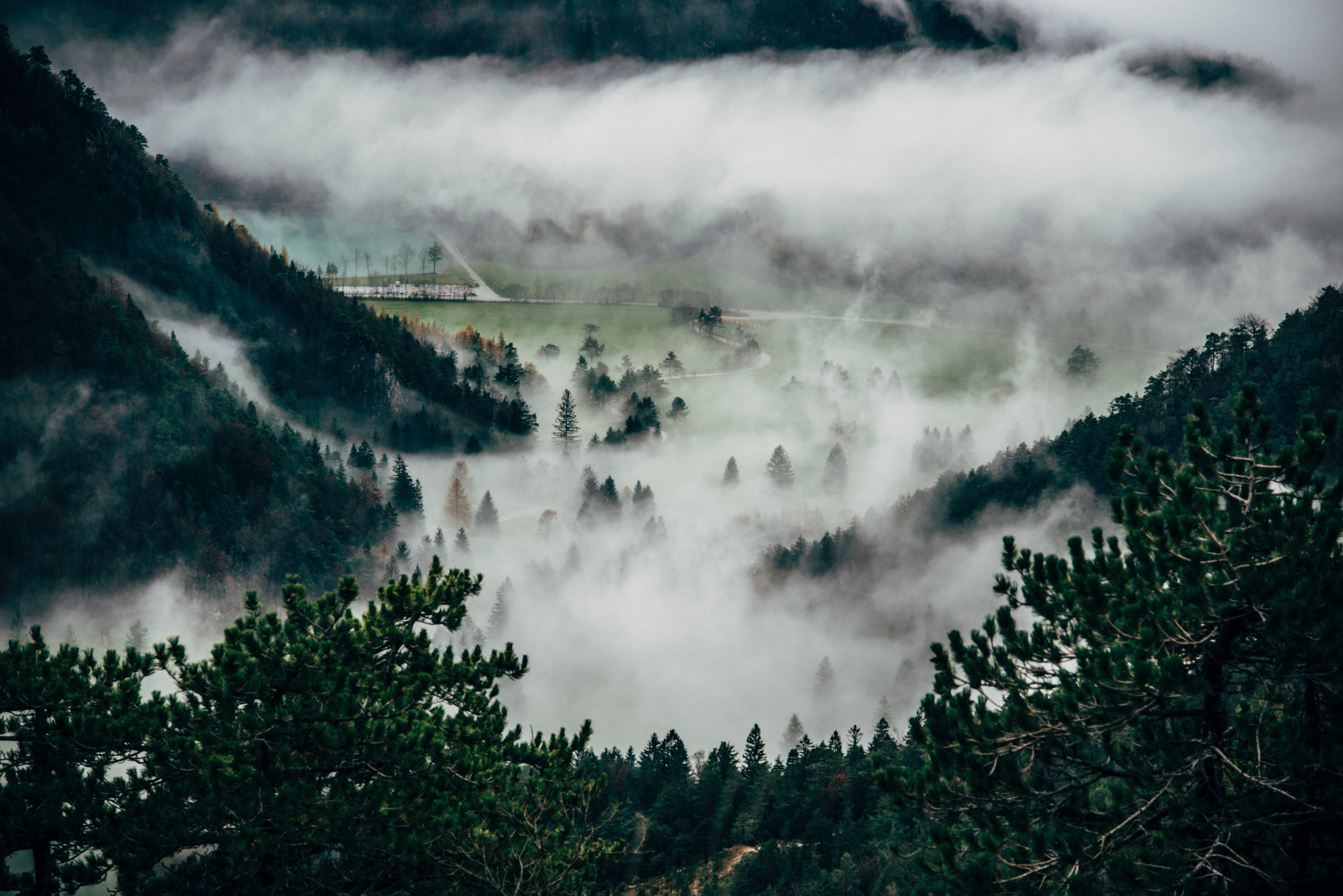Скачать картинку Вершина, Туман, Деревья, Горы, Природа в телефон бесплатно.