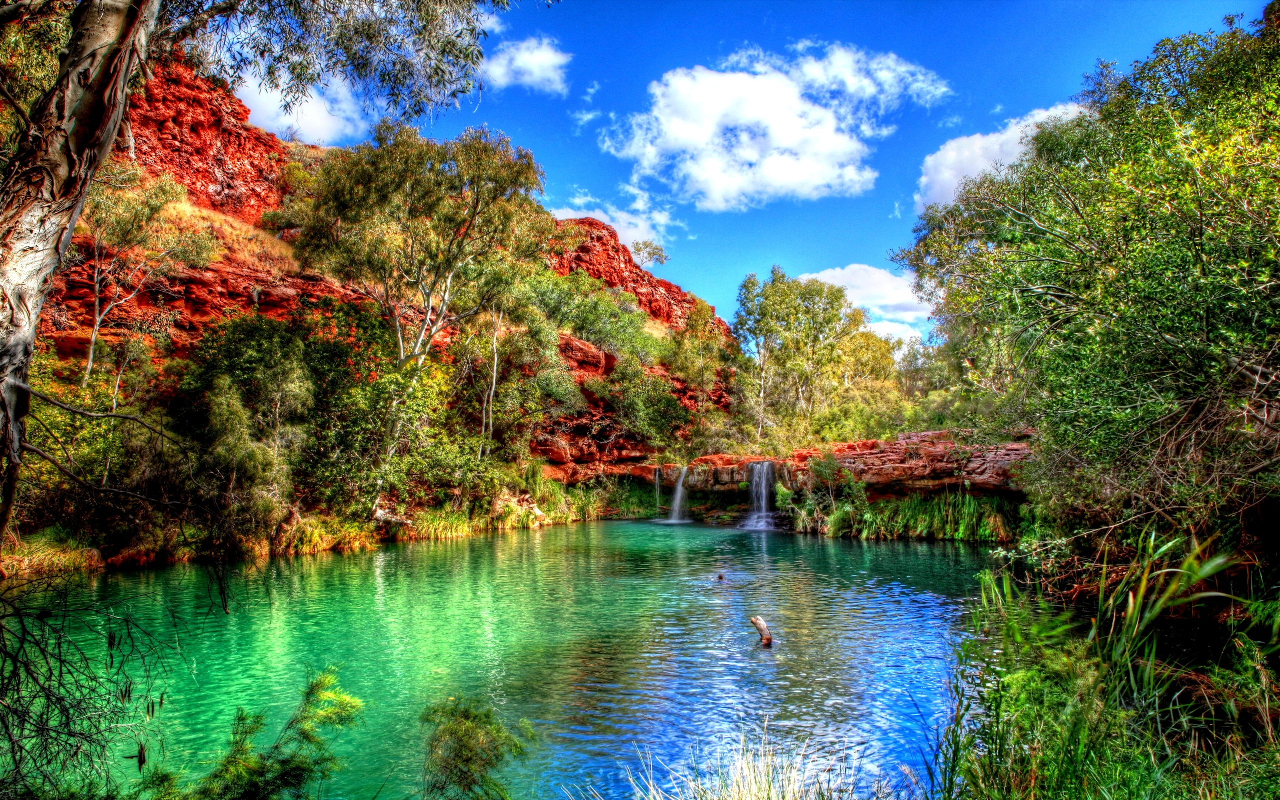Laden Sie das Herbst, Wasserfall, Park, Baum, Teich, Fotografie-Bild kostenlos auf Ihren PC-Desktop herunter