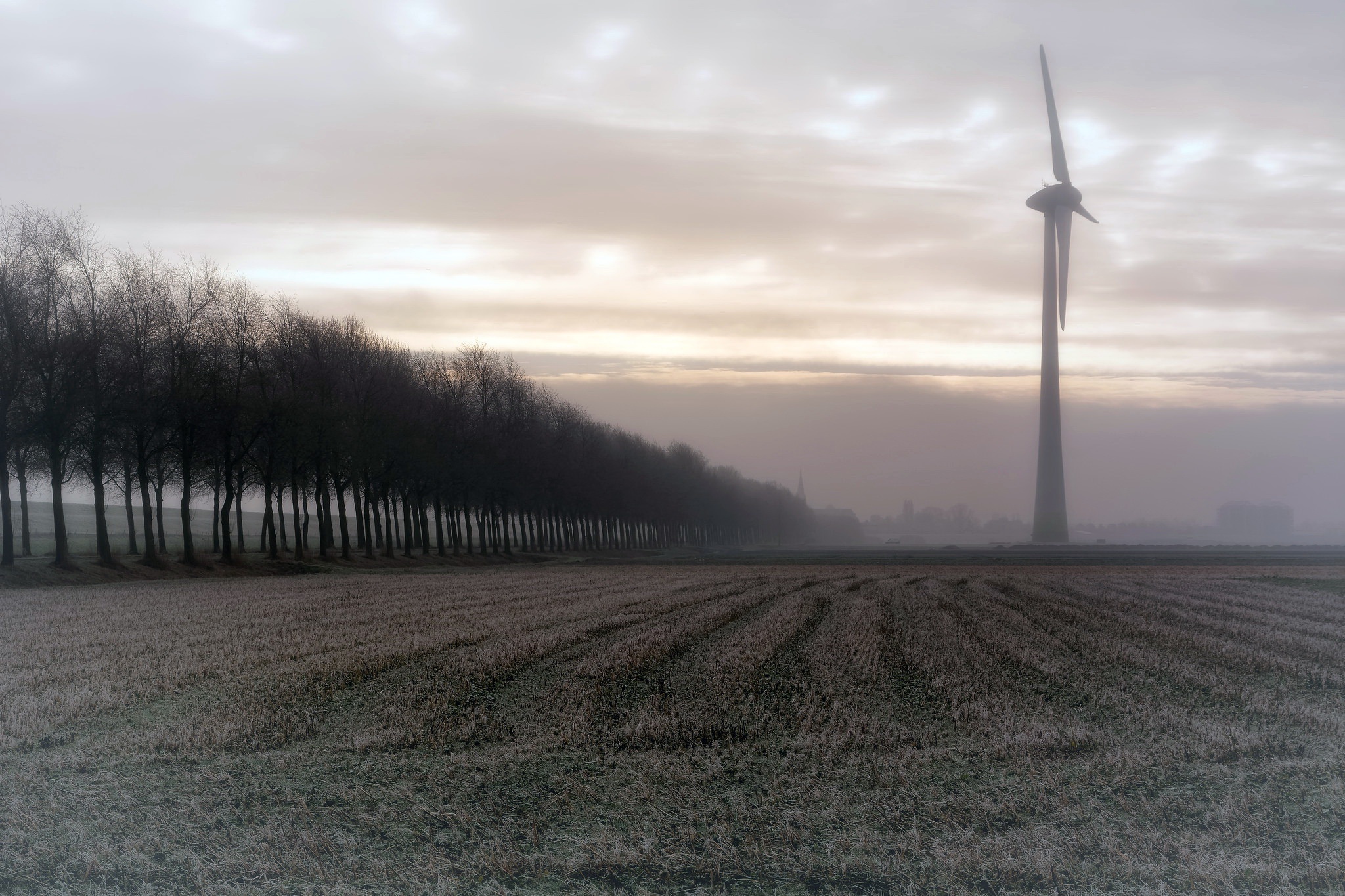 Download mobile wallpaper Fog, Field, Wind Turbine, Man Made, Tree Lined for free.