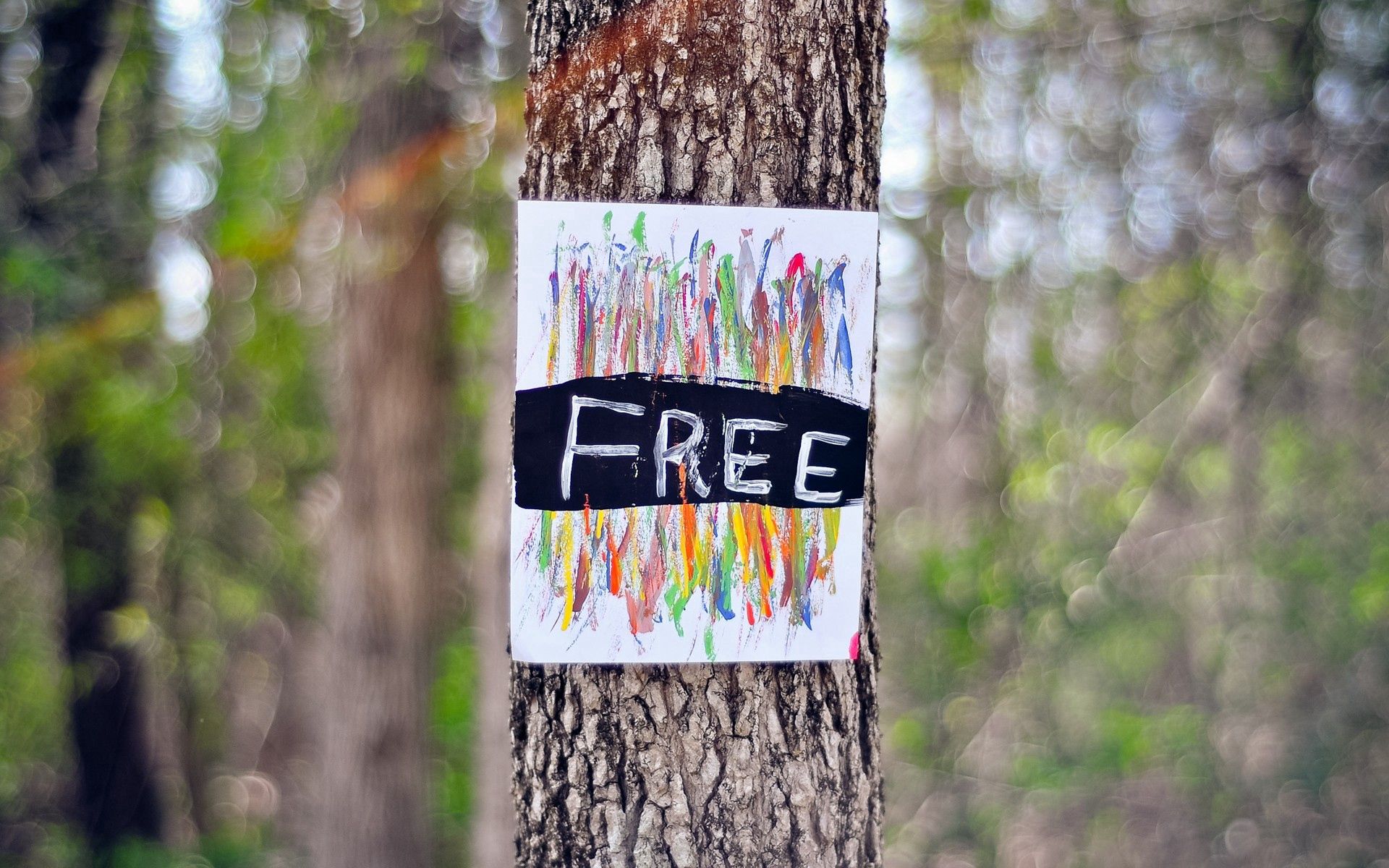 Скачать картинку Дерево, Слова, Рисунок, Яркий в телефон бесплатно.