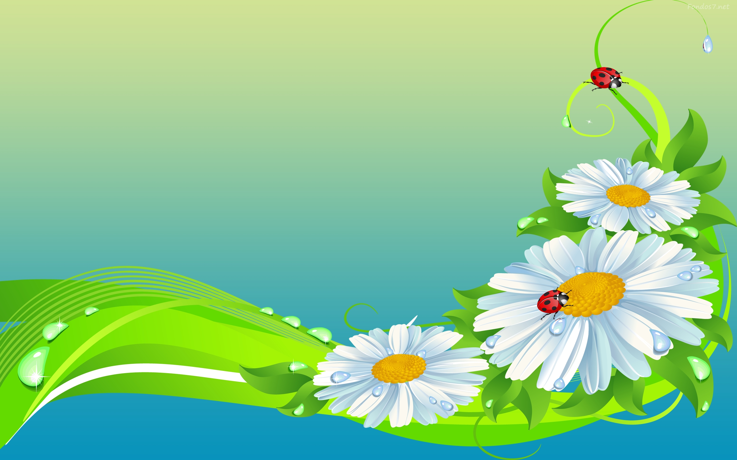 Download mobile wallpaper Ladybug, Spring, Artistic, Daisy, White Flower for free.