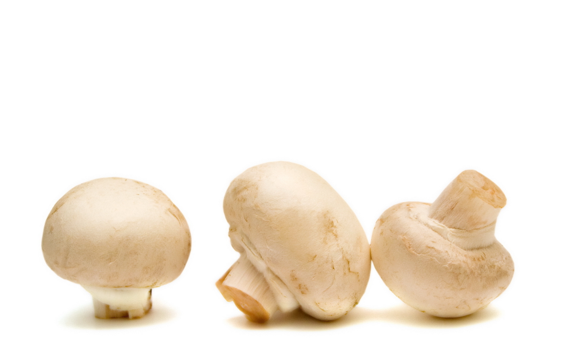 Laden Sie das Pilz, Nahrungsmittel-Bild kostenlos auf Ihren PC-Desktop herunter
