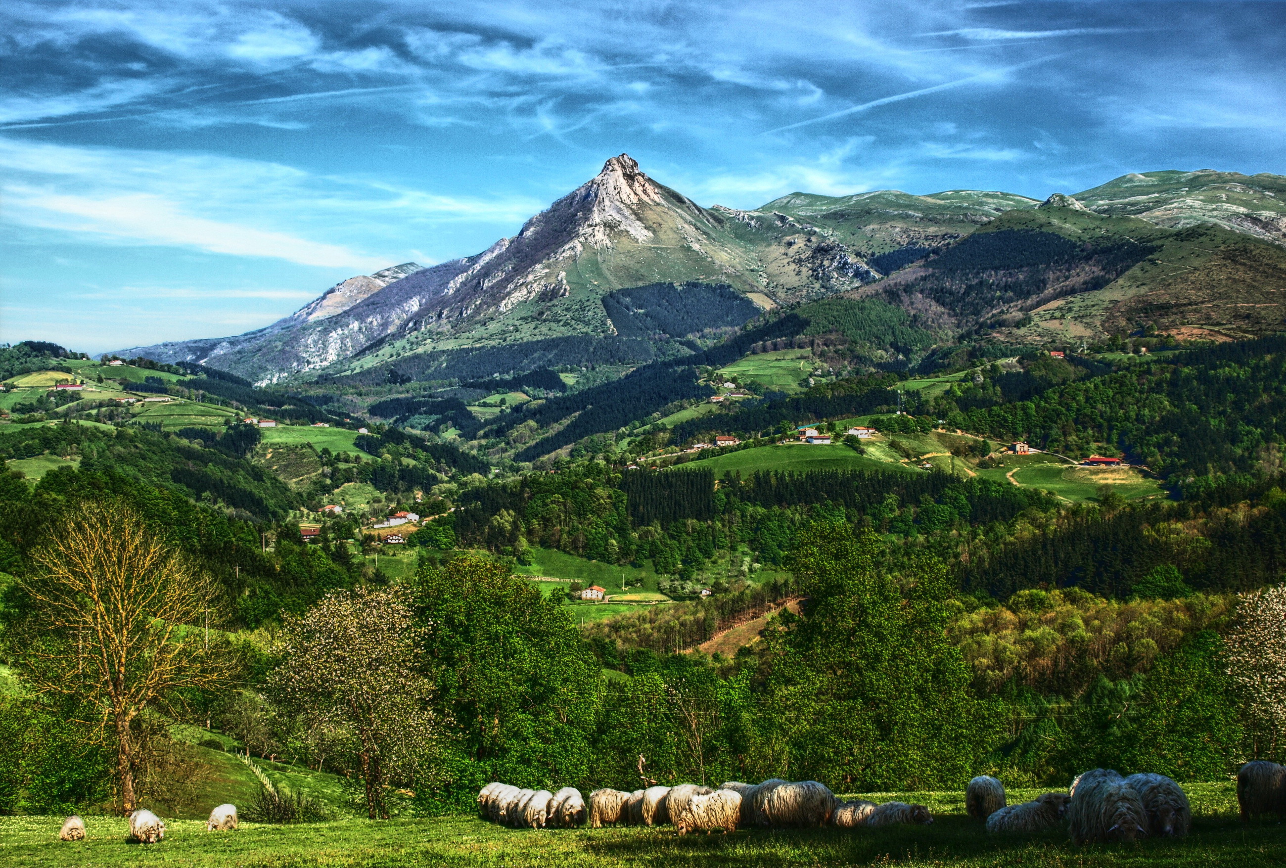 Download mobile wallpaper Landscape, Animal, Spain, Sheep for free.