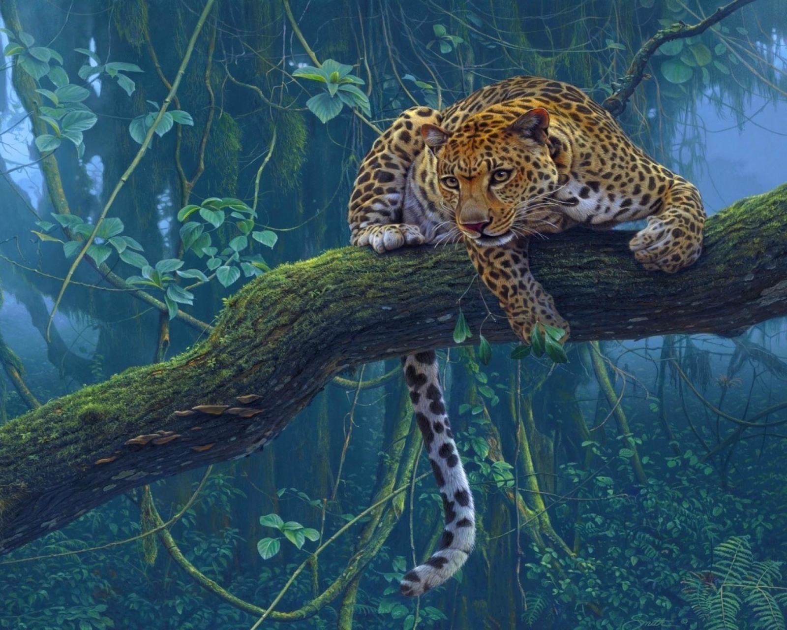 Download mobile wallpaper Cats, Leopard, Fog, Branch, Animal, Jungle for free.