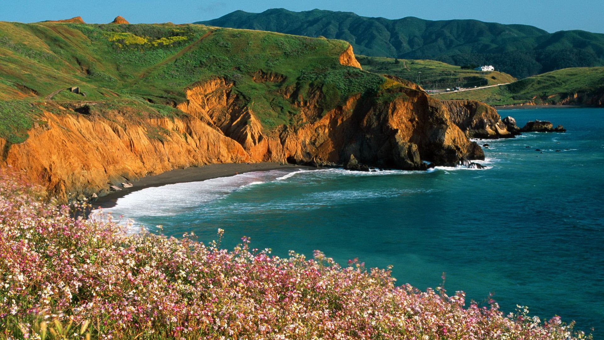 Laden Sie das Natur, Sun, Küste, Unterbrechung, Abgrund, Blumen, Sea-Bild kostenlos auf Ihren PC-Desktop herunter