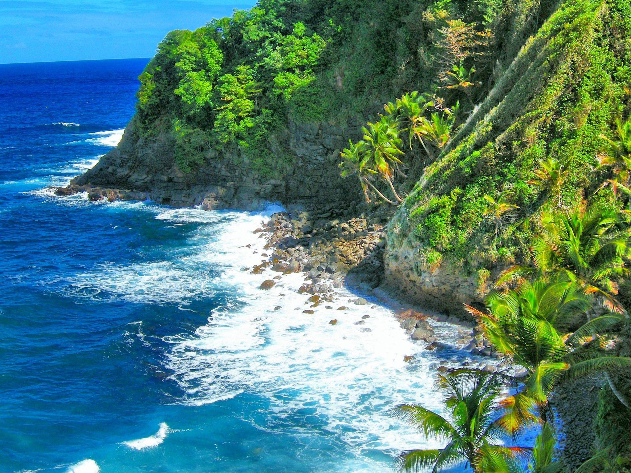 PCデスクトップに海岸, 海洋, 地球, トロピカル, 海岸線, カリブ海, ヤシの木画像を無料でダウンロード