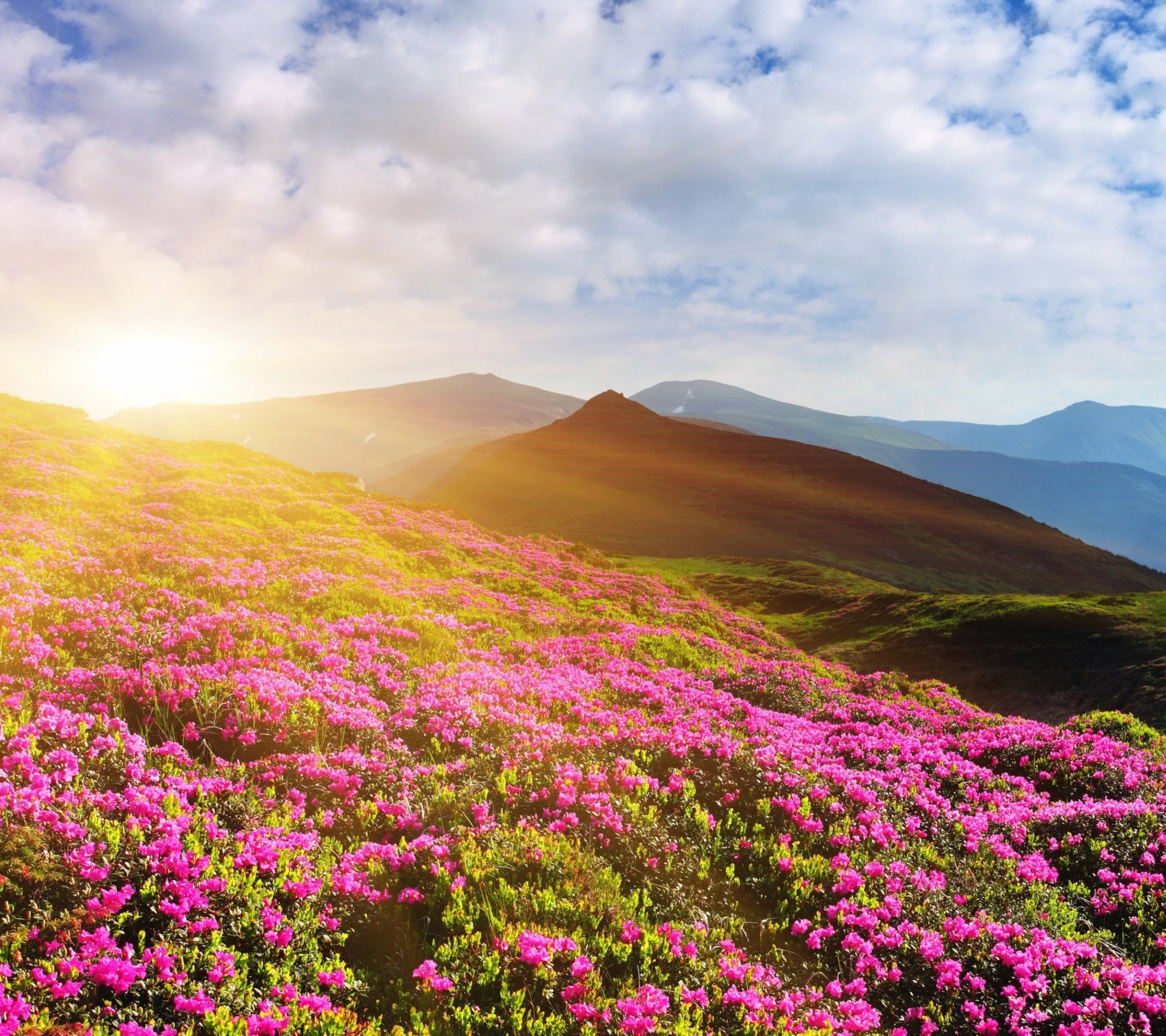 Laden Sie das Landschaft, Erde/natur-Bild kostenlos auf Ihren PC-Desktop herunter