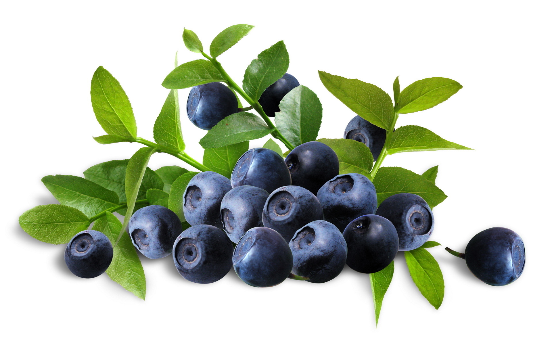 blueberry, food
