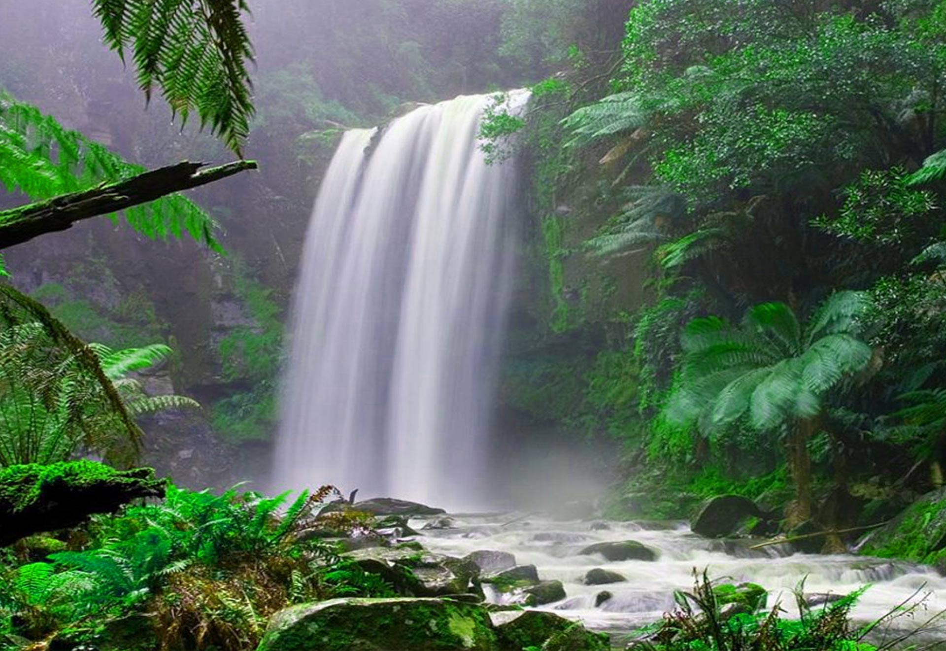 Download mobile wallpaper Waterfall, Forest, Earth, Tropical for free.