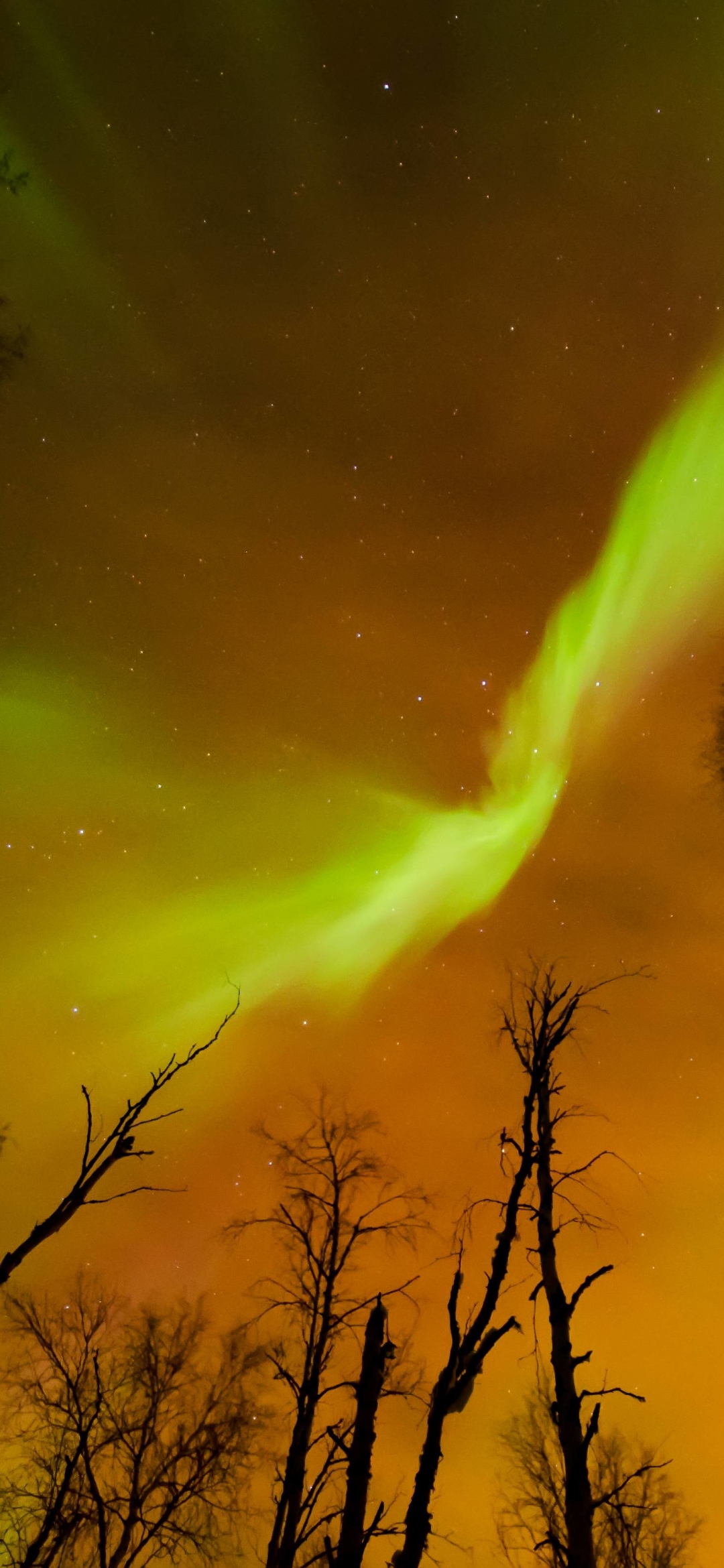 Download mobile wallpaper Earth, Aurora Borealis for free.