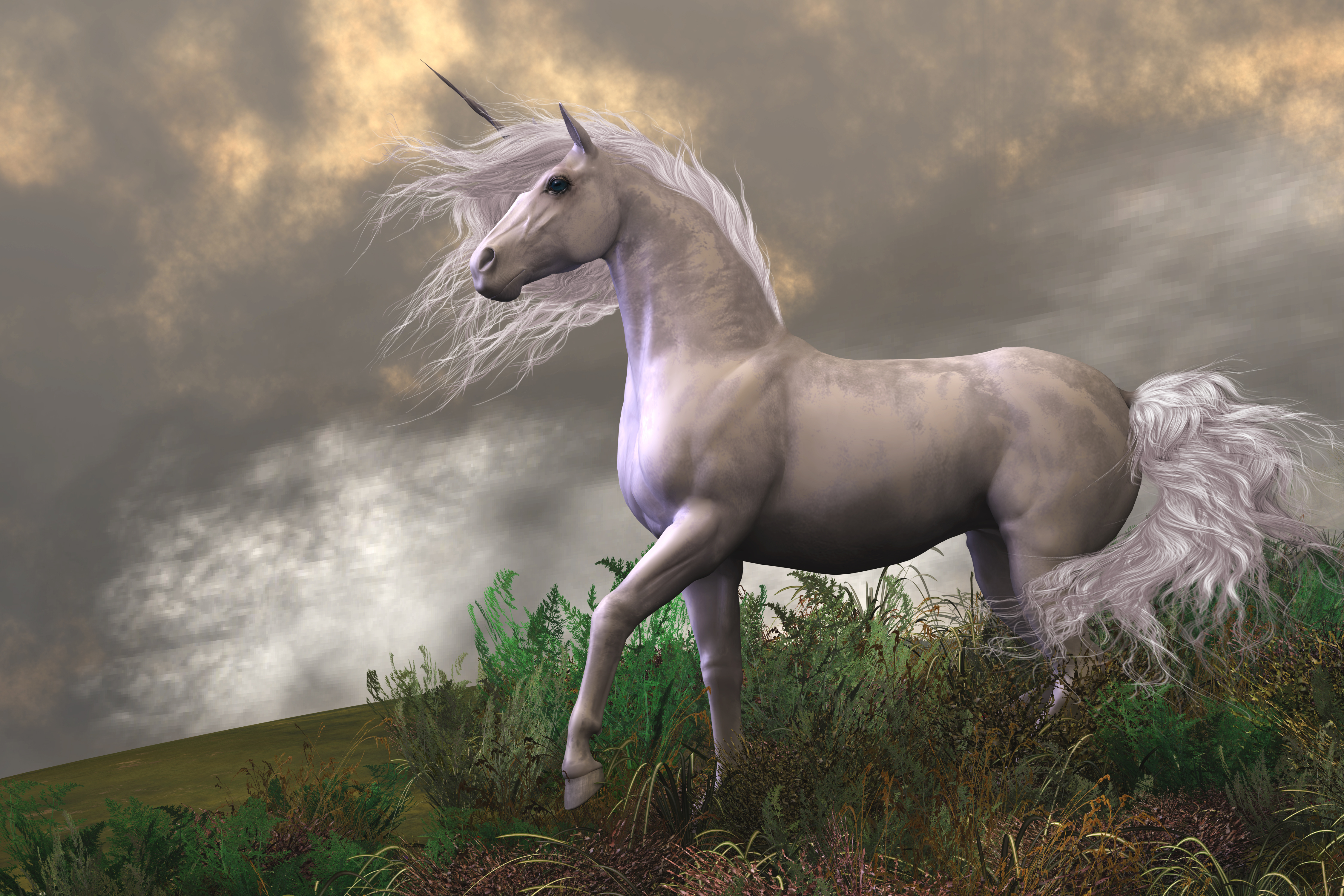 Free download wallpaper Fantasy, Cloud, Unicorn, Fantasy Animals on your PC desktop