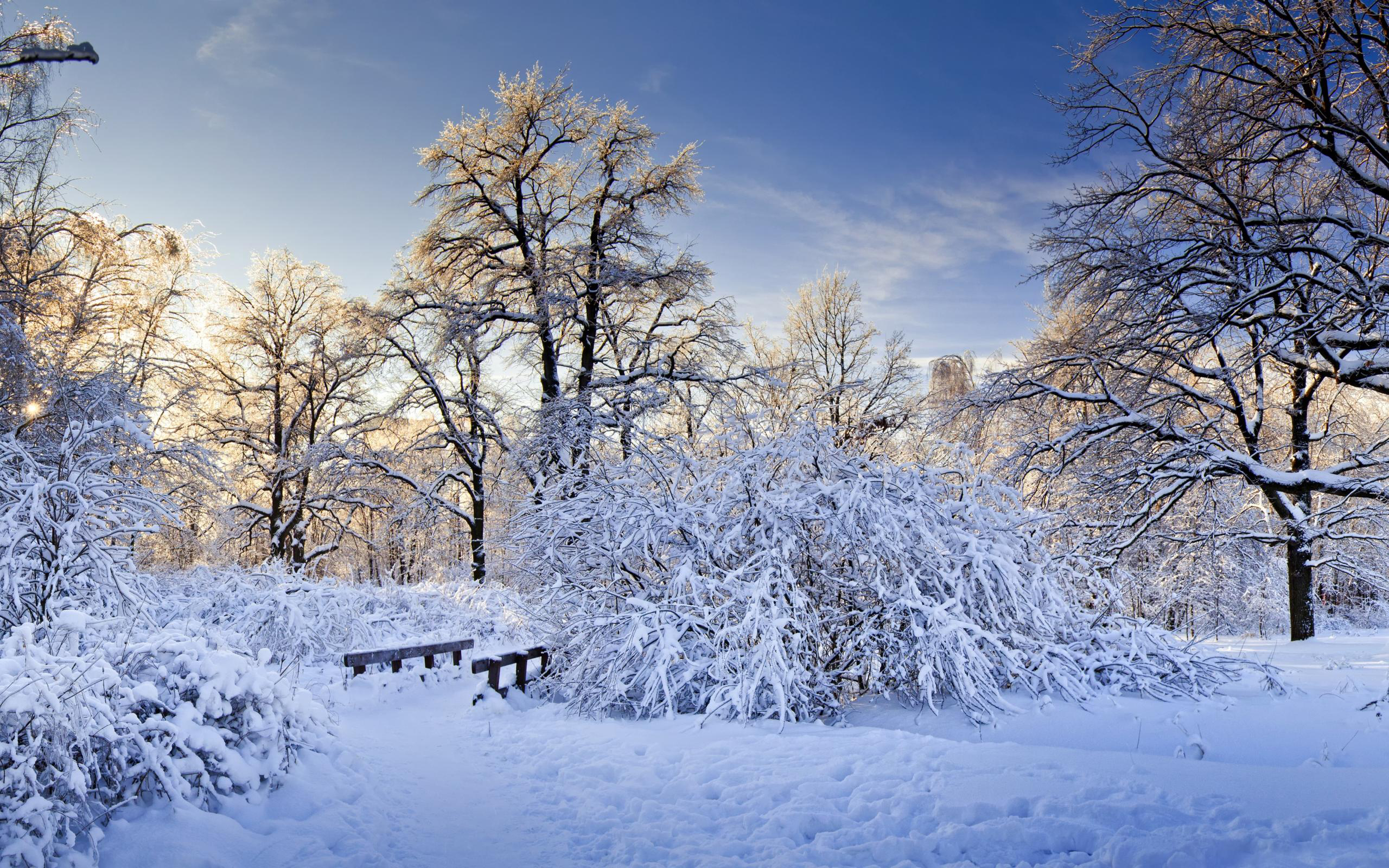 Téléchargez gratuitement l'image Hiver, Terre/nature sur le bureau de votre PC