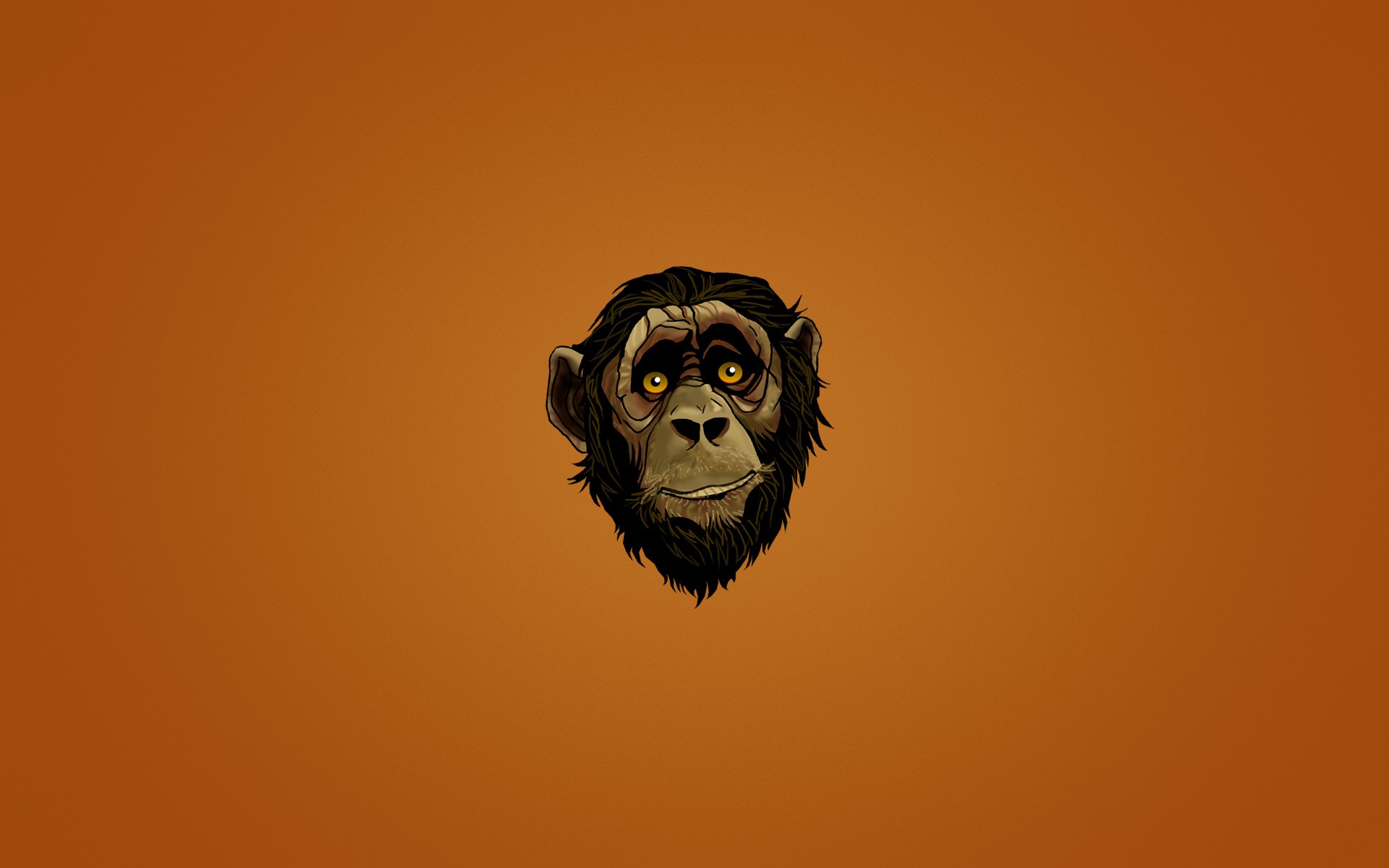 359319 descargar fondo de pantalla animales, mono, monos: protectores de pantalla e imágenes gratis