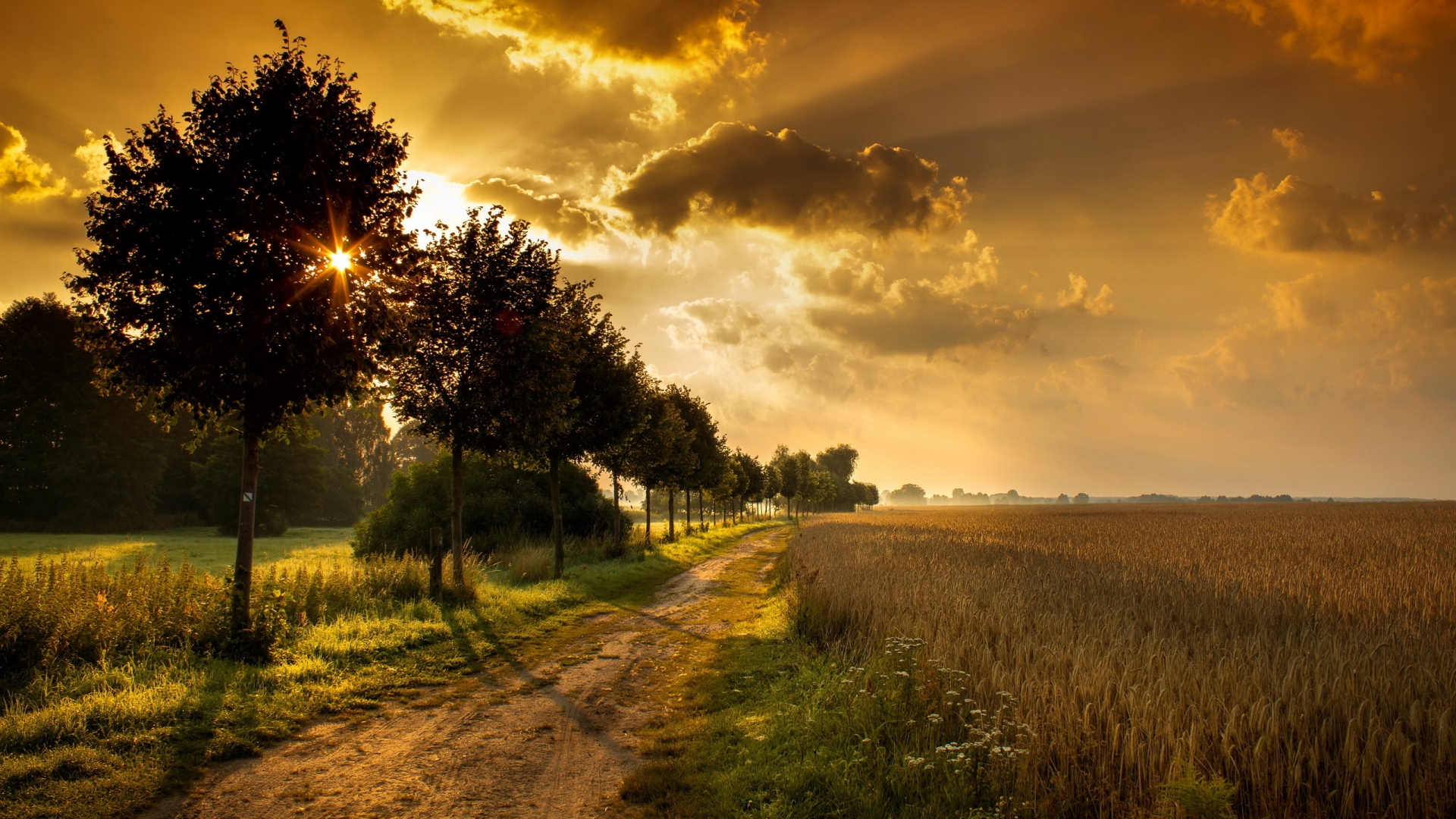 Download mobile wallpaper Landscape, Earth, Path for free.