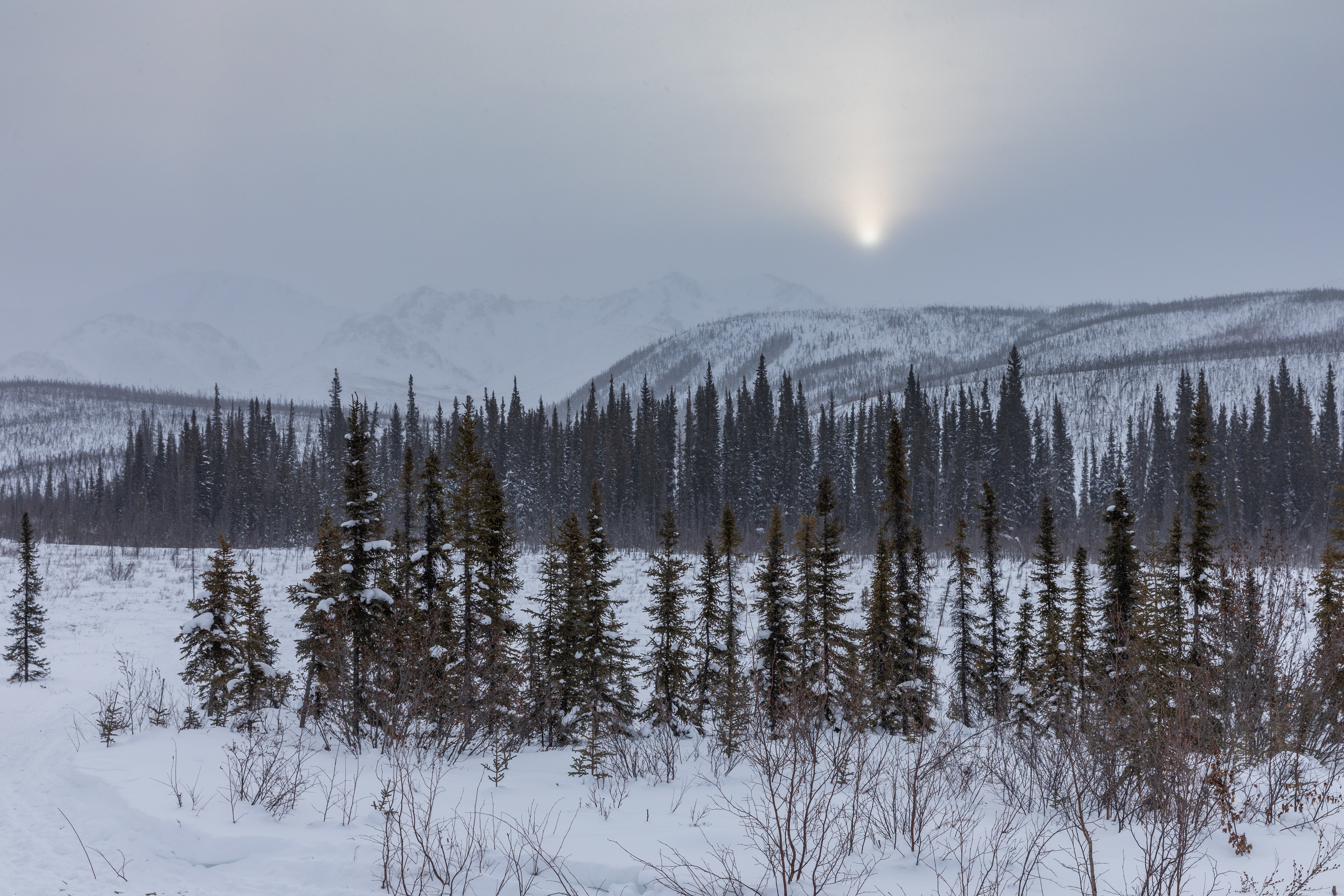 PCデスクトップに冬, 自然, 山脈, 雪, 木, 日没, 風景画像を無料でダウンロード