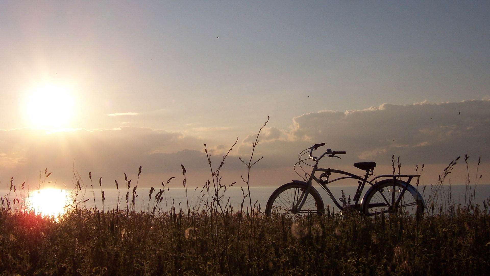Free download wallpaper Bicycle, Sunbeam, Vehicles on your PC desktop