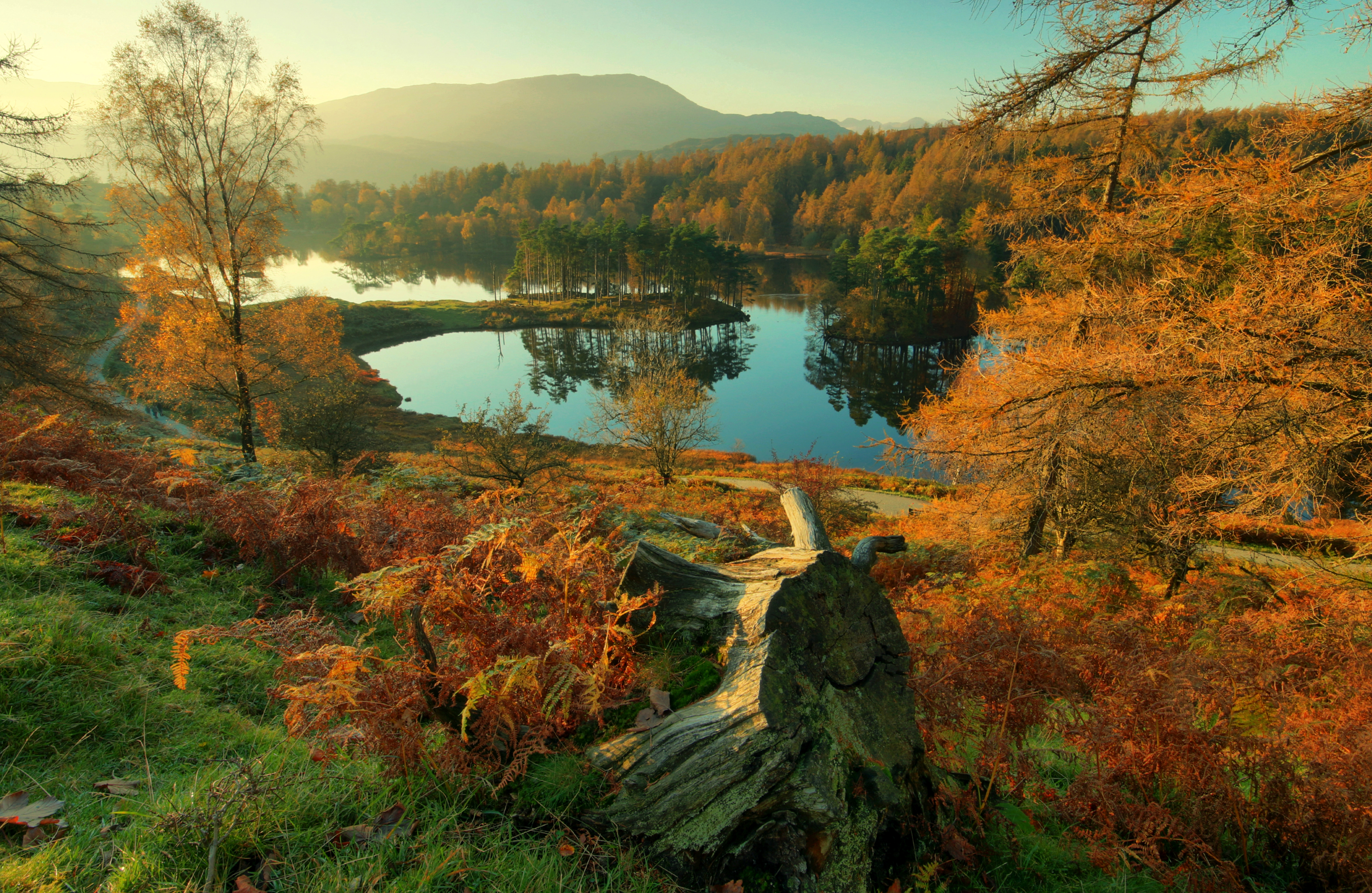 Laden Sie das Landschaft, Natur, Herbst, Seen, See, Wald, Erde/natur-Bild kostenlos auf Ihren PC-Desktop herunter