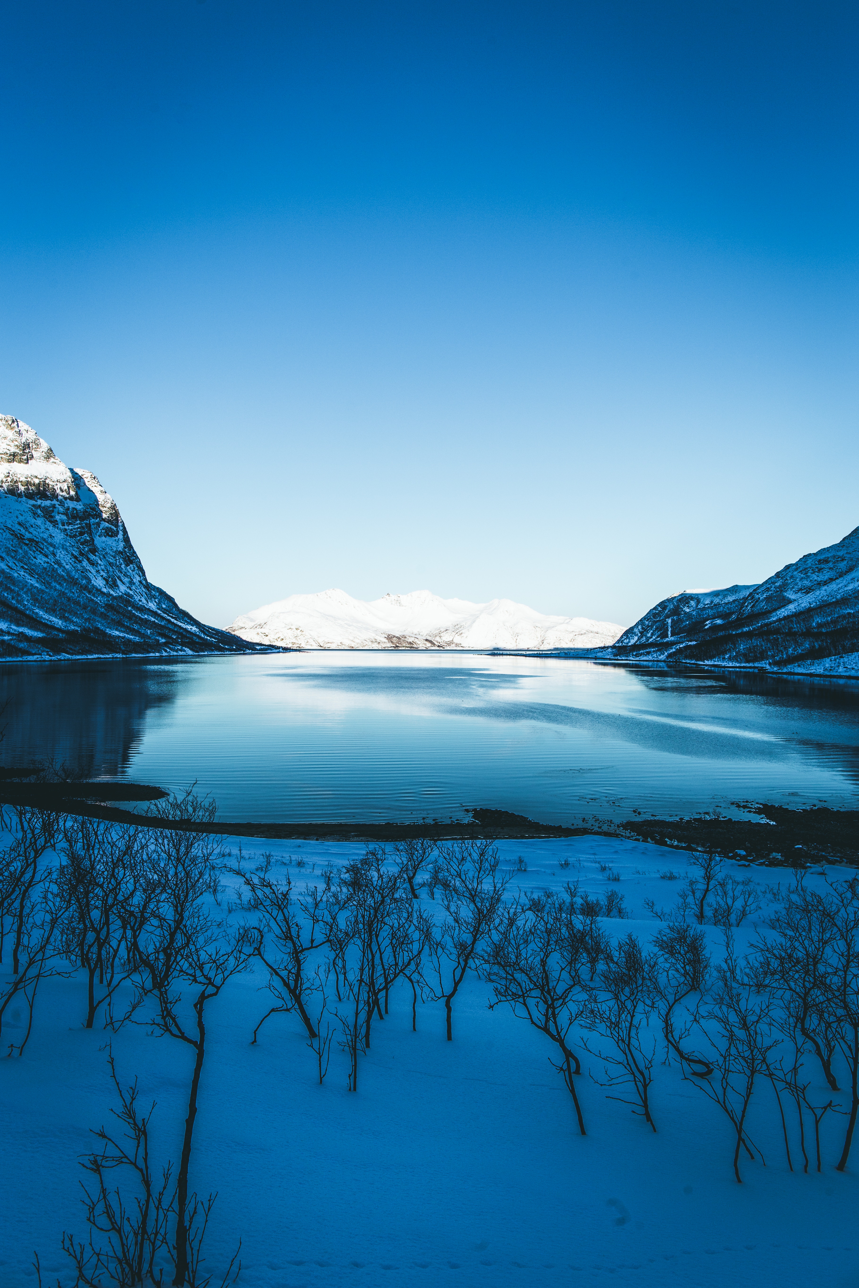 Laden Sie das Natur, Bäume, Sky, Mountains, See, Ufer, Bank, Schnee, Winter-Bild kostenlos auf Ihren PC-Desktop herunter