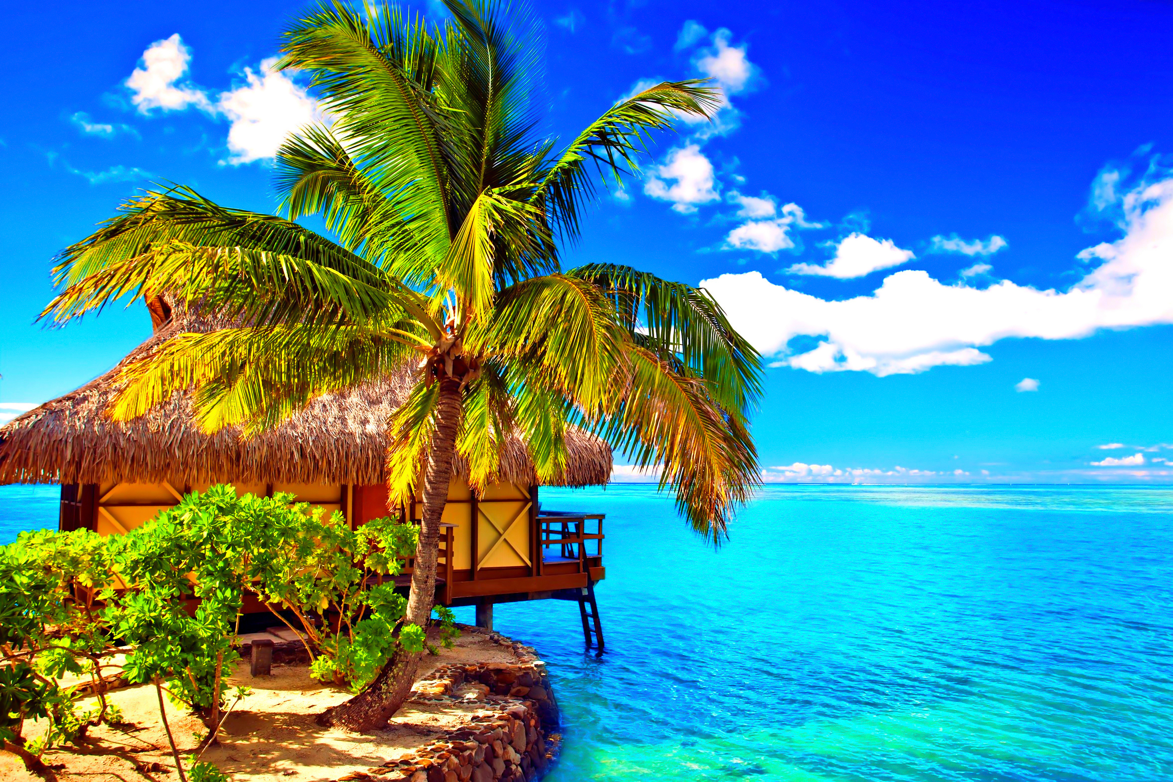 Free download wallpaper Beach, Ocean, Tropics, Tropical, Hut, Bungalow, Man Made, Palm Tree on your PC desktop