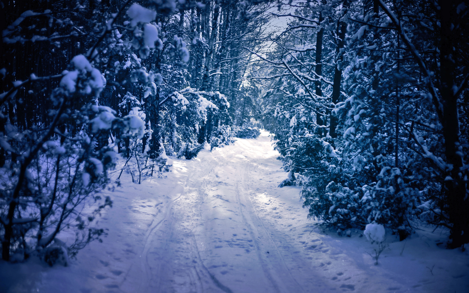 Скачать картинку Зима, Снег, Дорога, Лес, Земля/природа в телефон бесплатно.