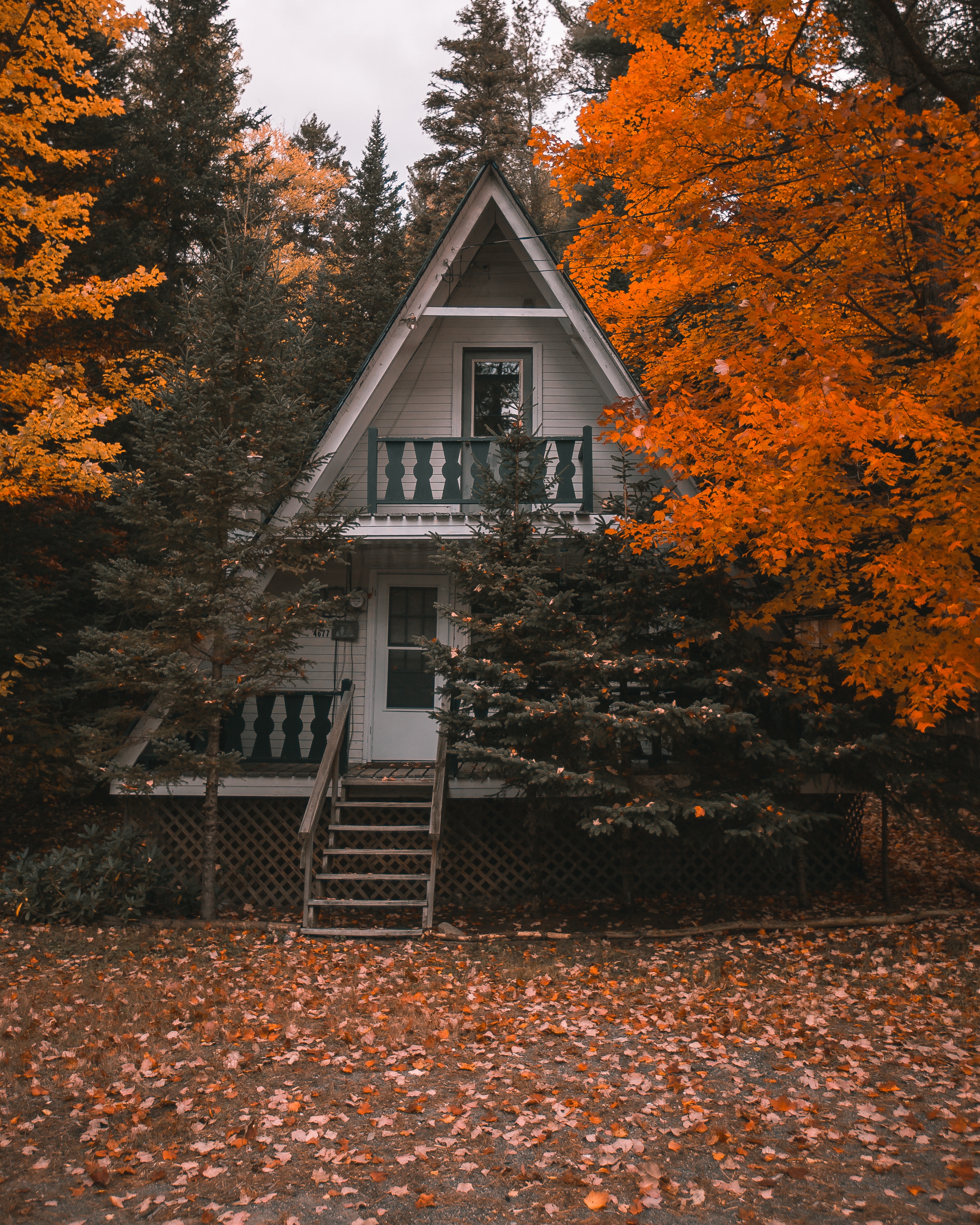 trees, autumn, small house, nature, privacy, seclusion, lodge, coziness, comfort