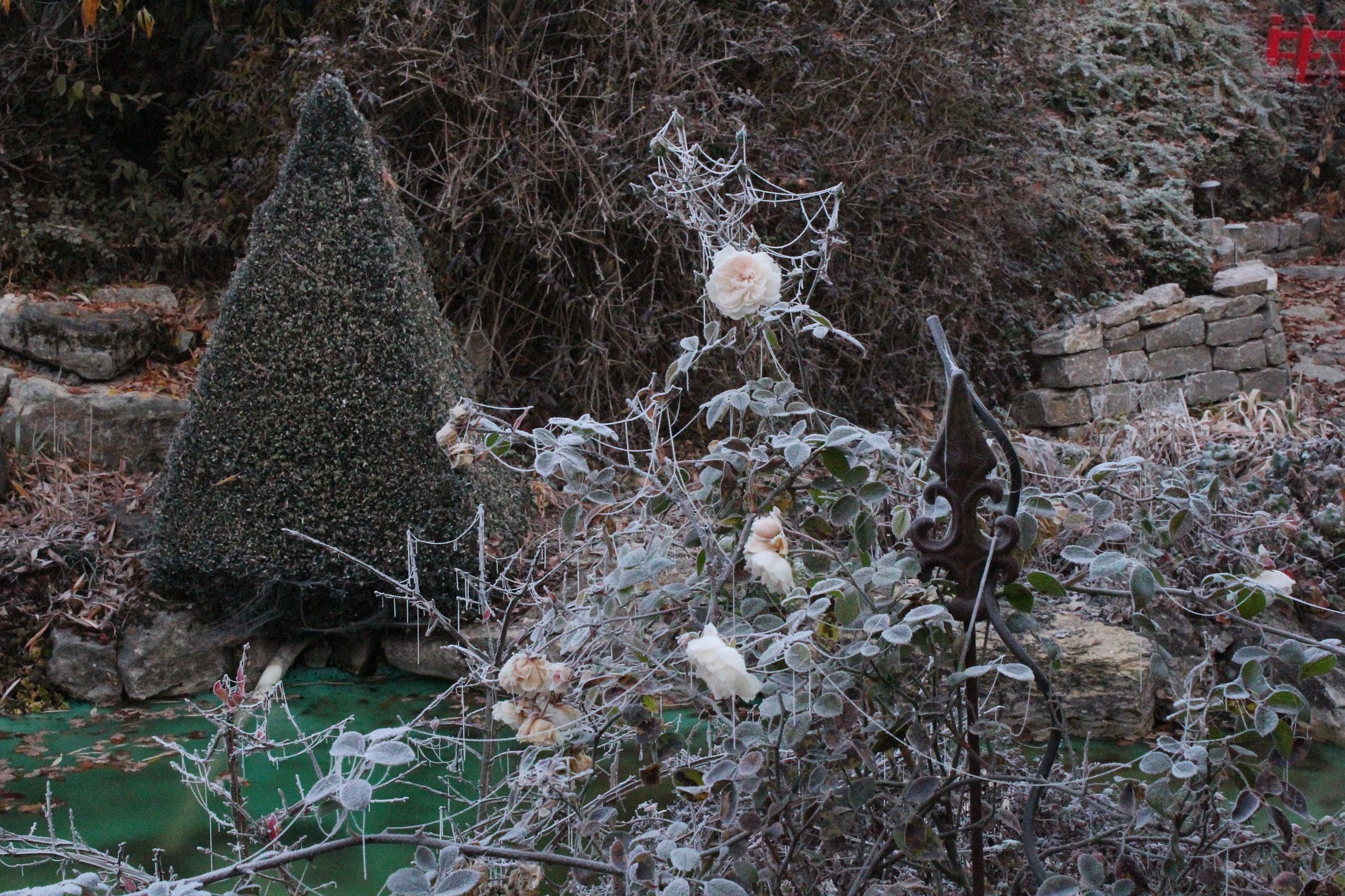 Laden Sie das Garten, Menschengemacht-Bild kostenlos auf Ihren PC-Desktop herunter