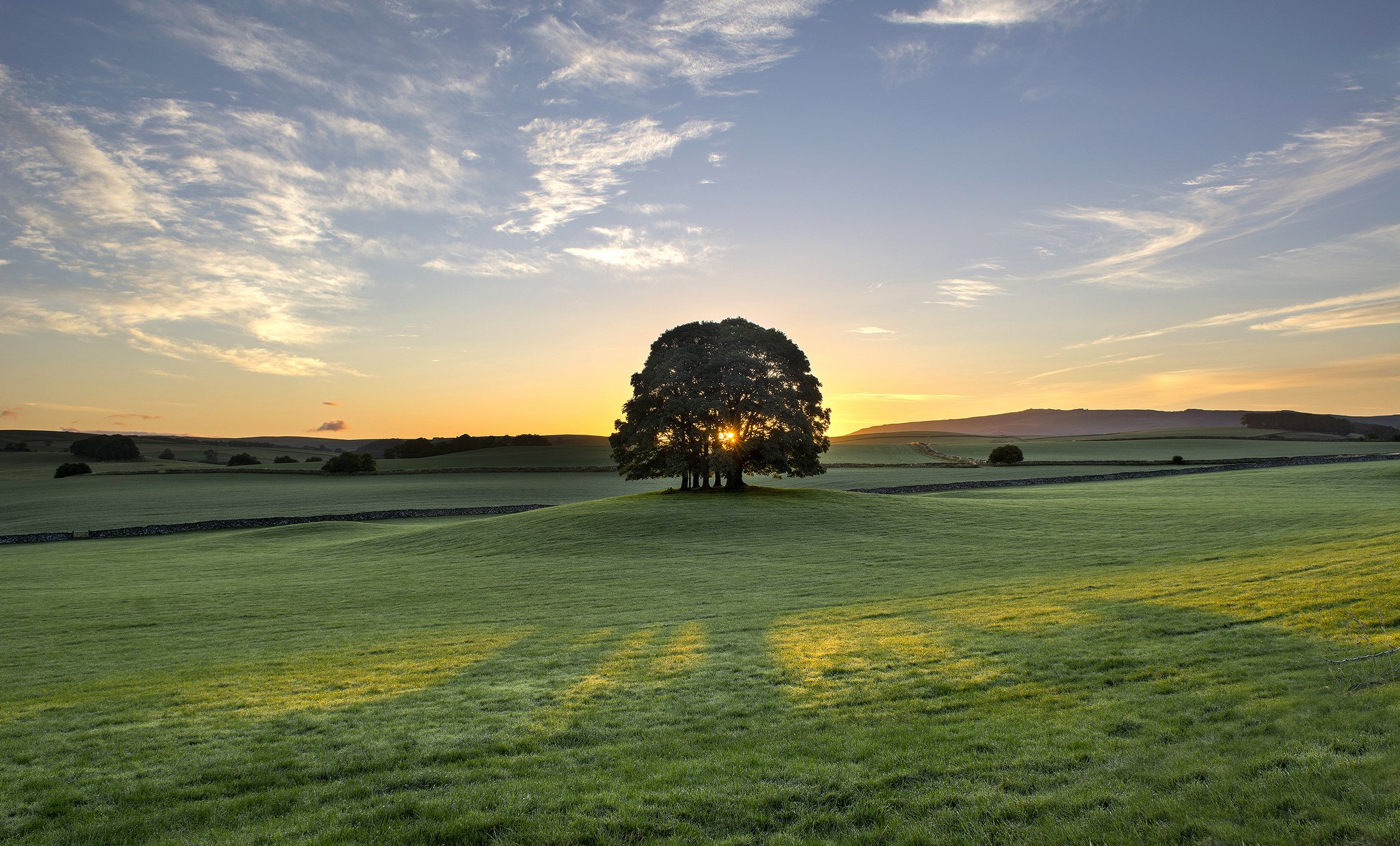 Handy-Wallpaper Bäume, Baum, Sonnenaufgang, Dämmerung, Morgen, Wiese, England, Erde/natur kostenlos herunterladen.