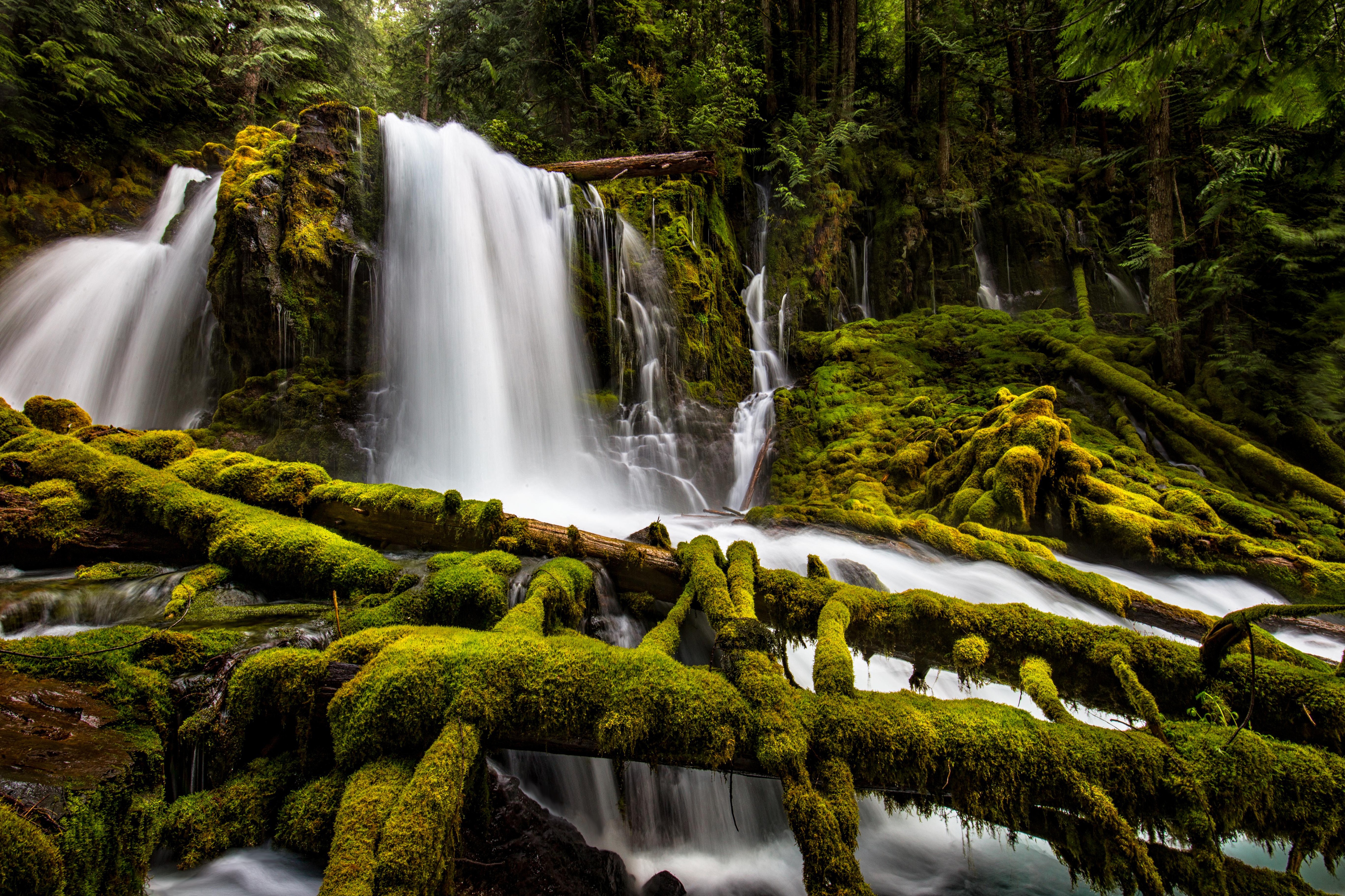 Téléchargez gratuitement l'image Cascades, Verdure, Mousse, La Nature, Terre/nature, Chûte D'eau sur le bureau de votre PC