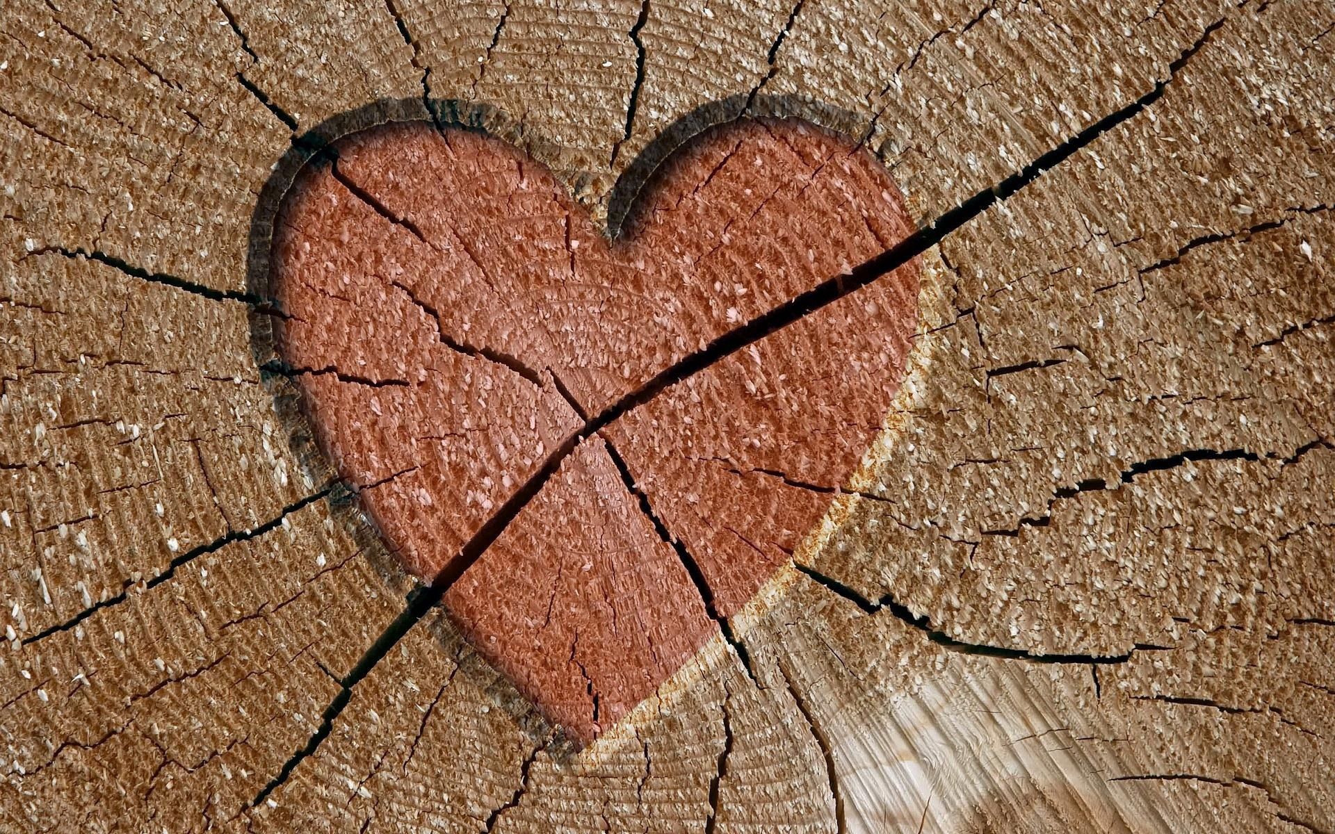 Download mobile wallpaper Tree, Wood, Brown, Pink, Heart, Love for free.