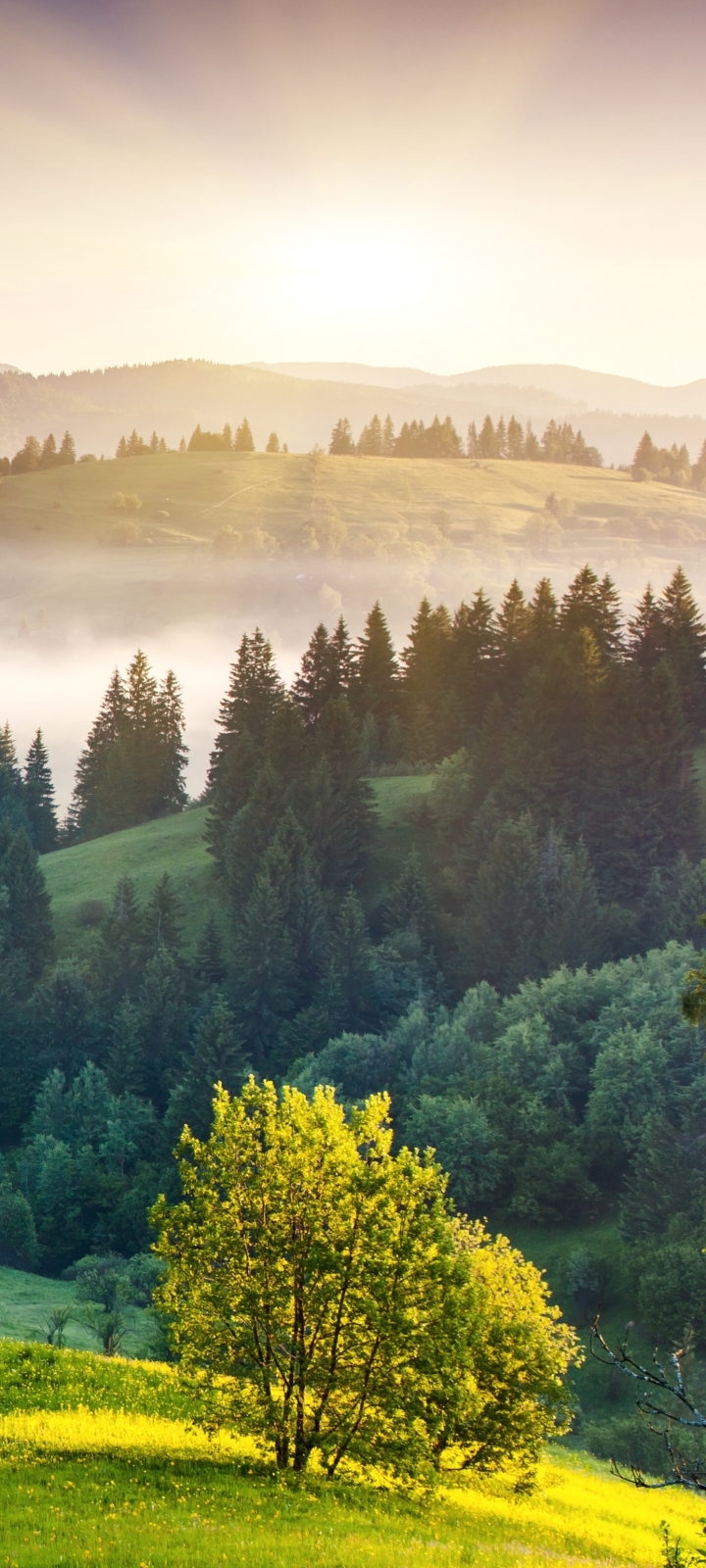 Handy-Wallpaper Landschaft, Erde/natur kostenlos herunterladen.