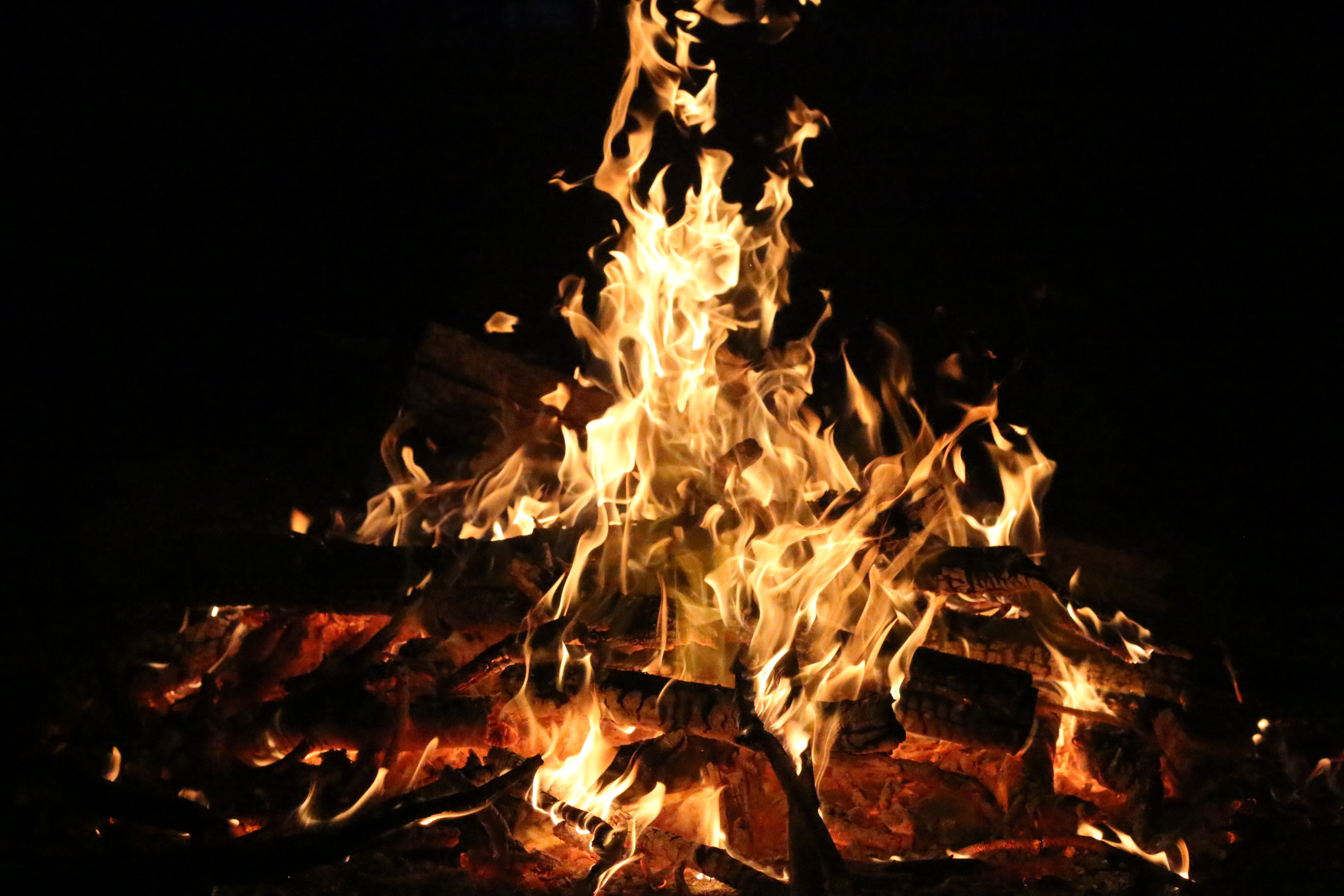 firewood, bonfire, dark, fire, coals, flame
