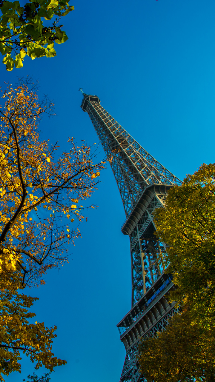 Скачати мобільні шпалери Париж, Ейфелева Вежа, Пам'ятники, Дерево, Франція, Створено Людиною безкоштовно.