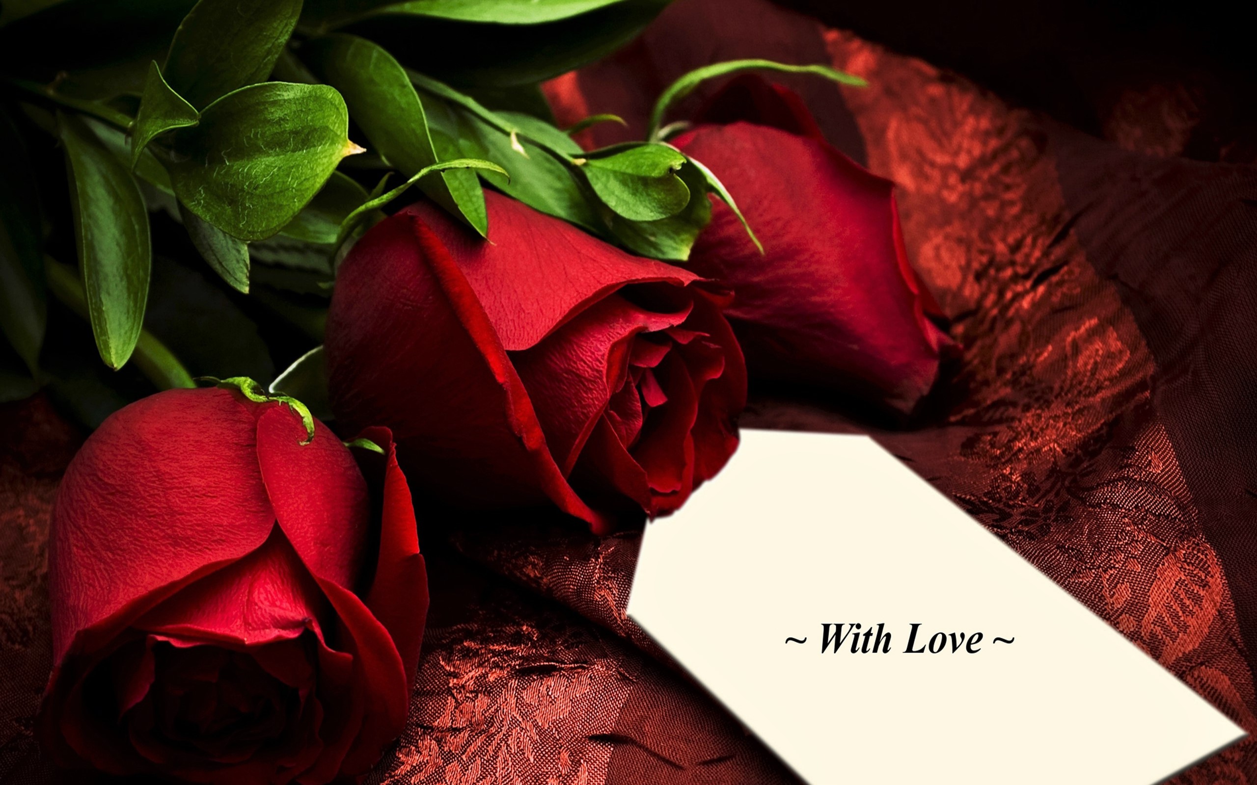 Скачать картинку Цветок, Роза, Карты, Красная Роза, День Святого Валентина, Праздничные, Красный Цветок в телефон бесплатно.